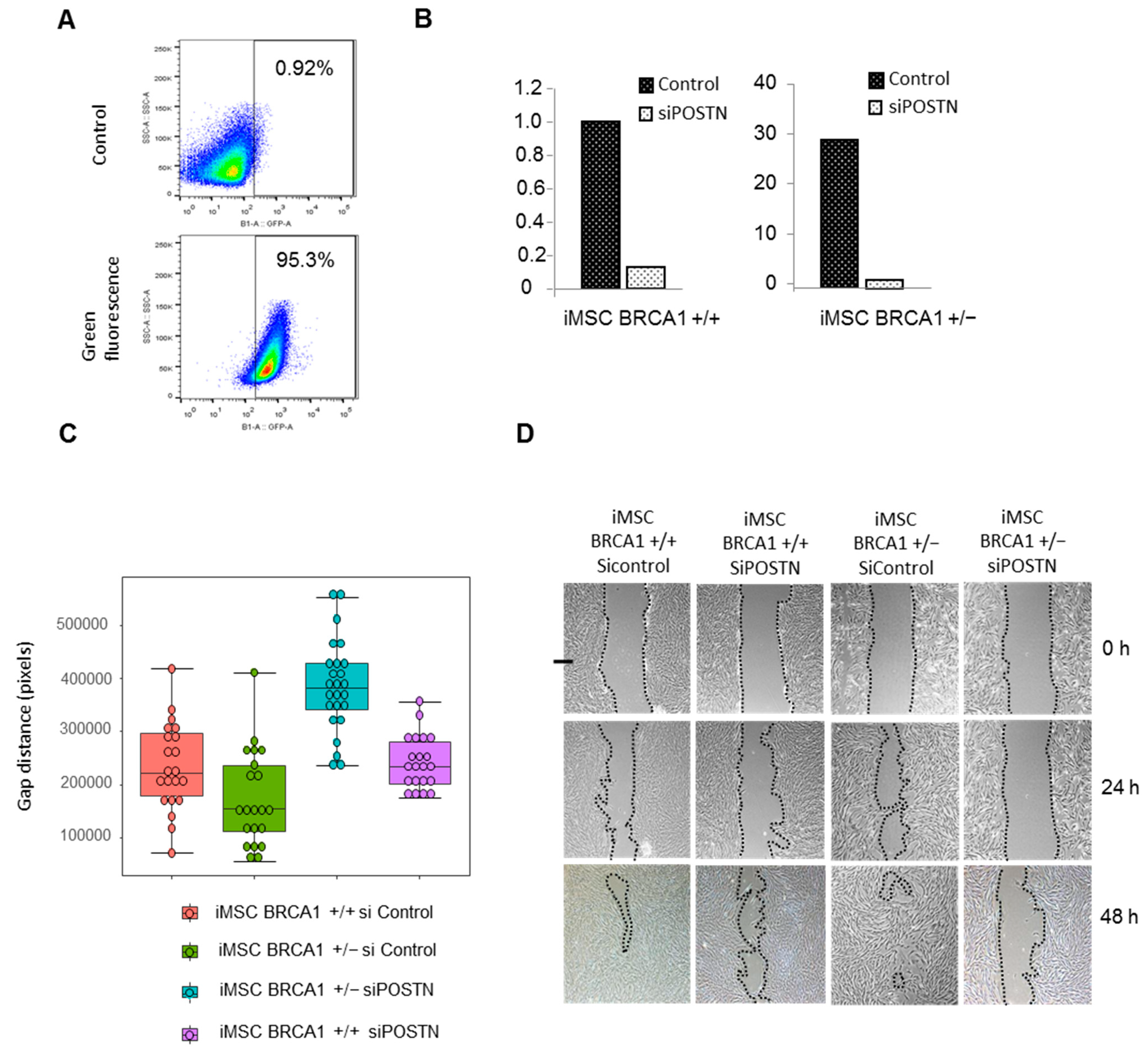 Ijms 22 01227 g006 Ijms 22 01227 g006
