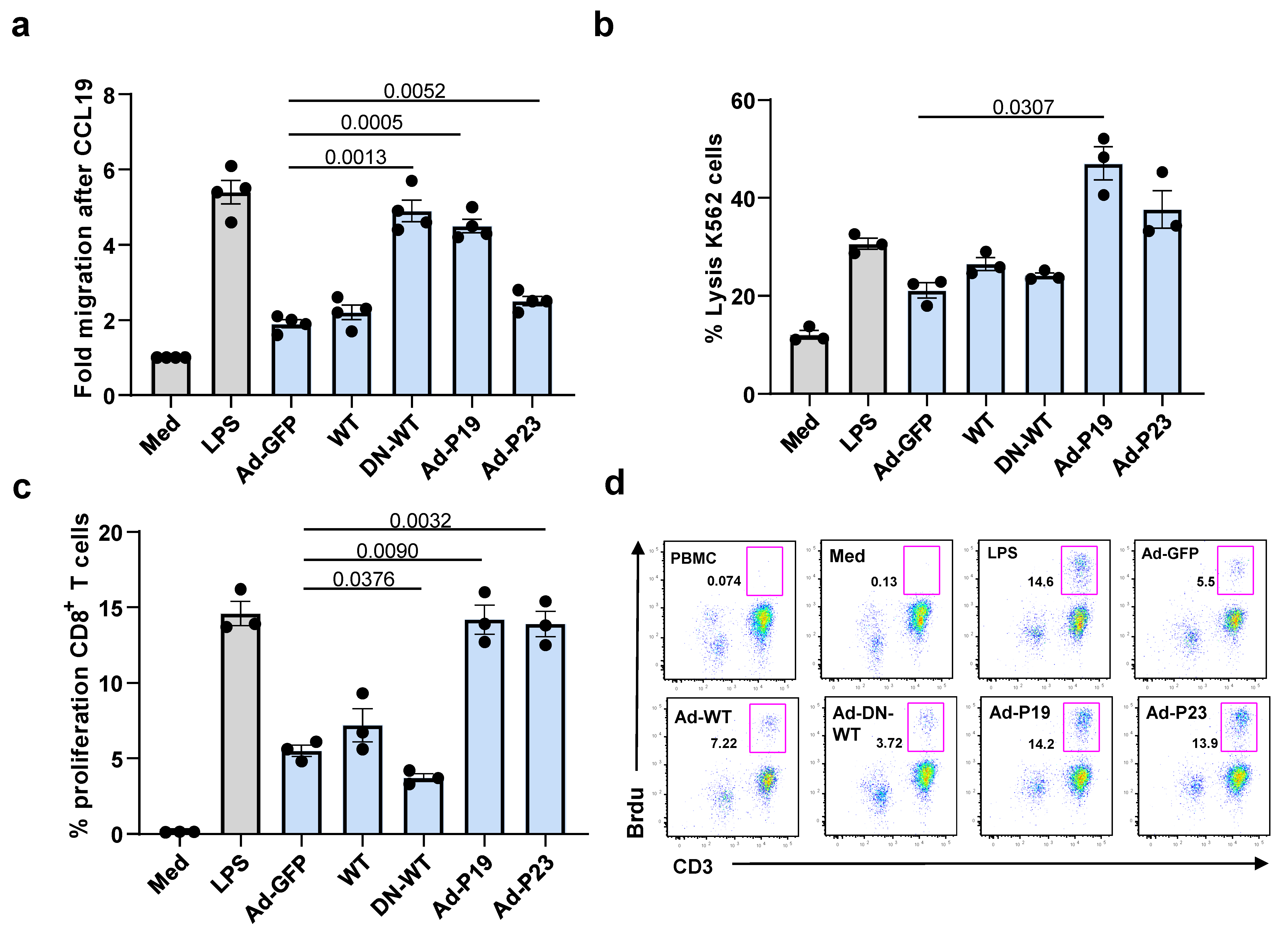 Ijms 22 01241 g003 Ijms 22 01241 g003