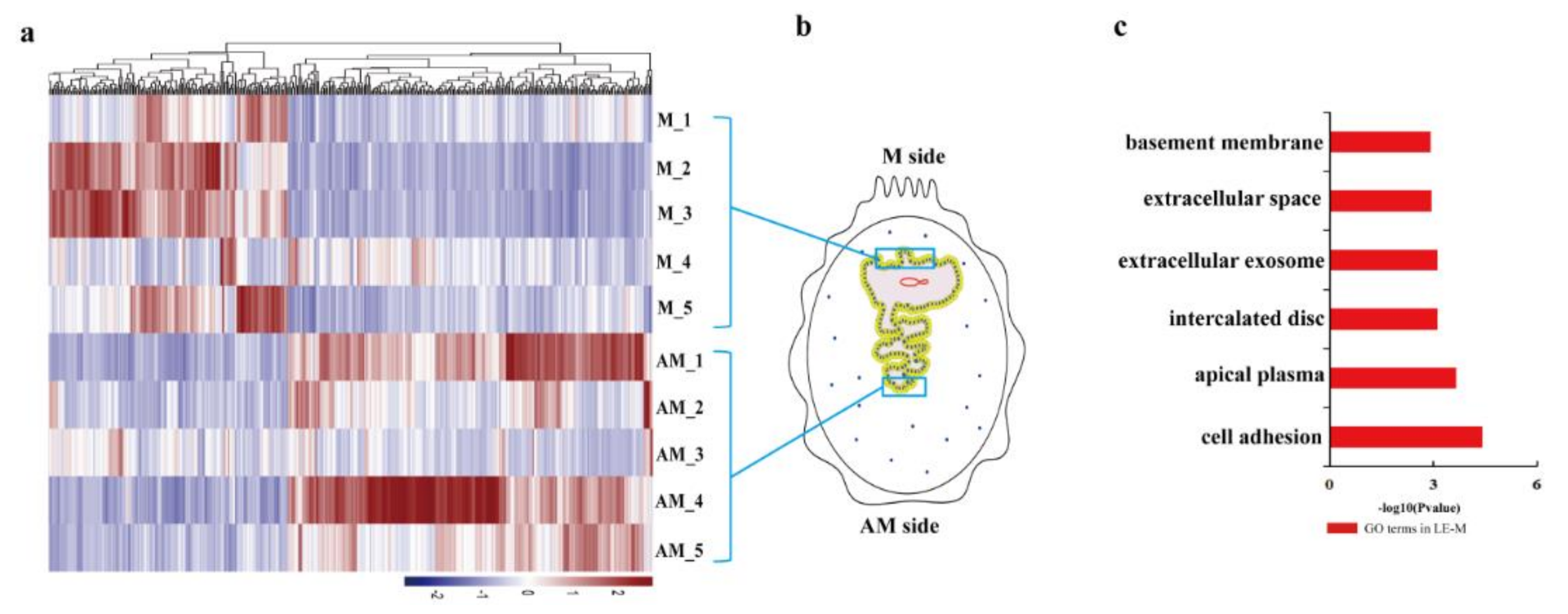 Ijms 22 01248 g002 Ijms 22 01248 g002