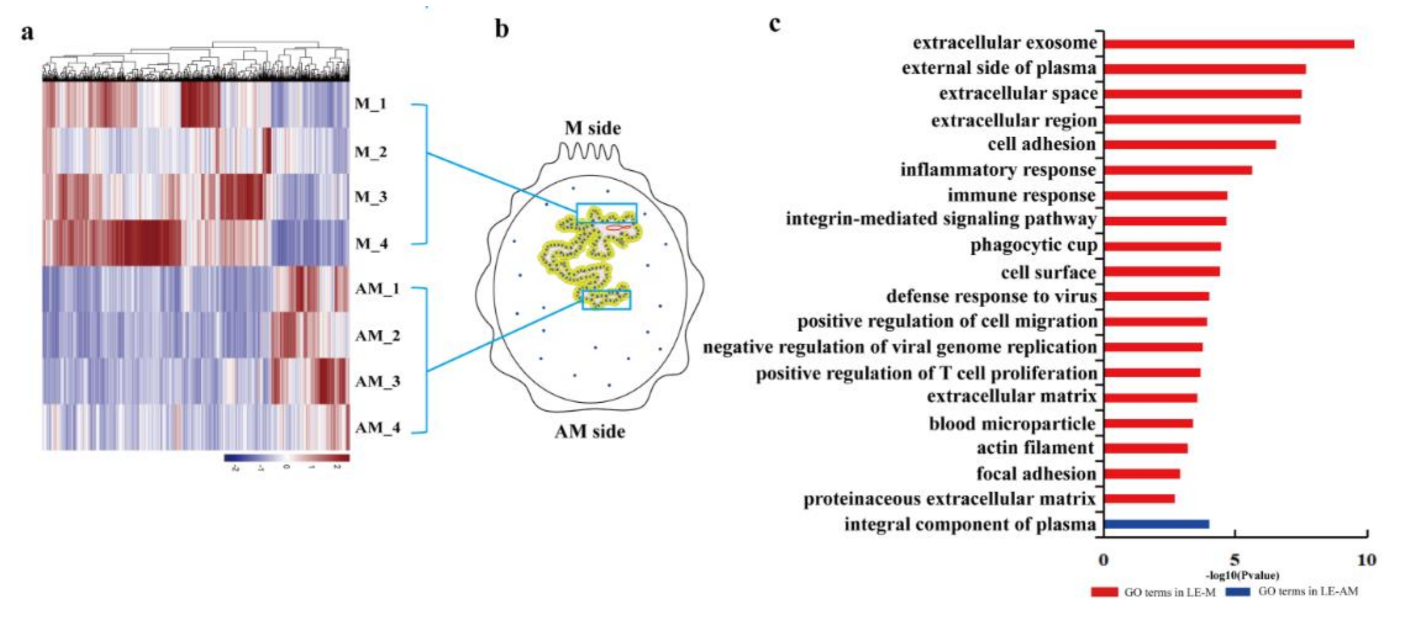 Ijms 22 01248 g003 Ijms 22 01248 g003
