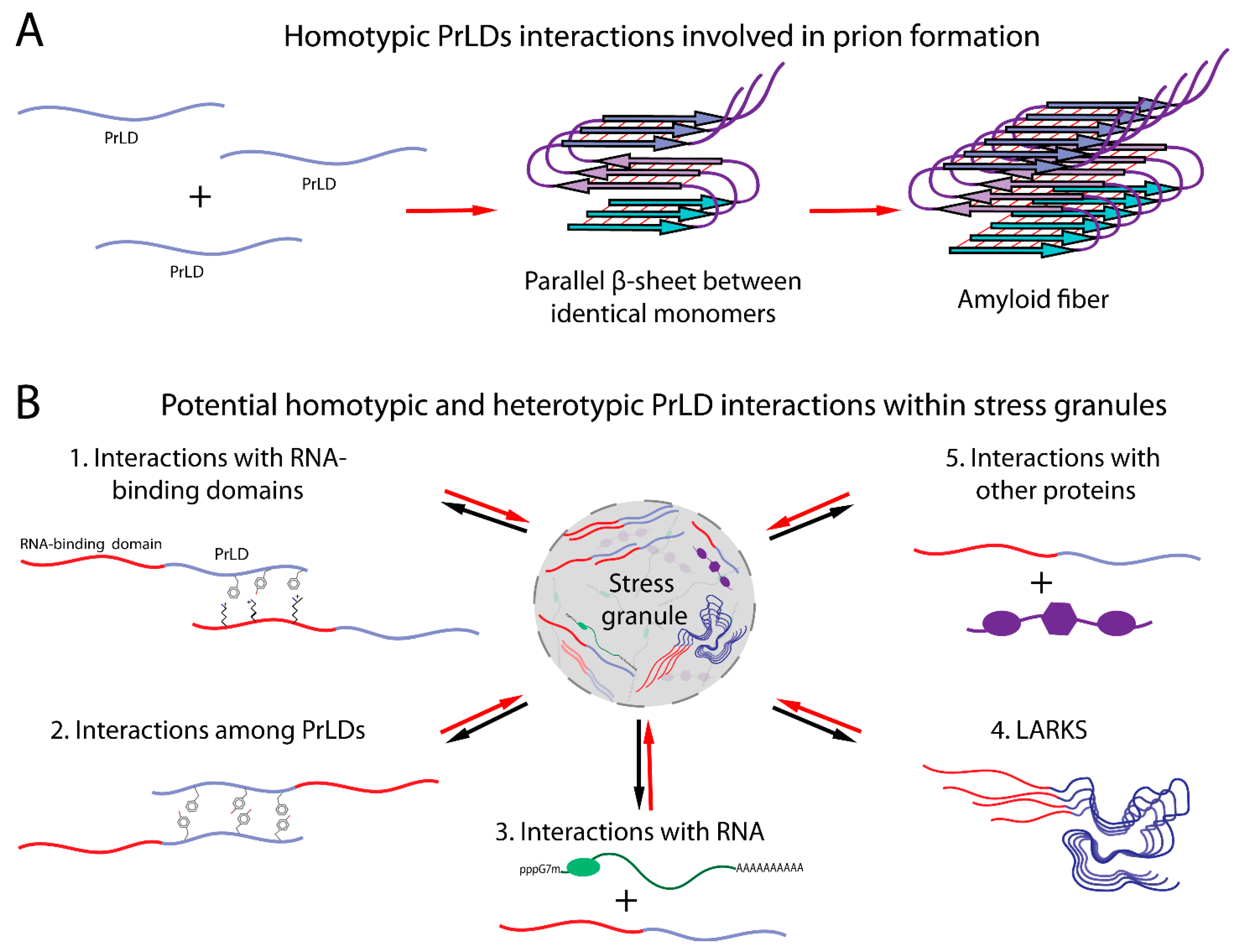 Ijms 22 01251 g001 Ijms 22 01251 g001