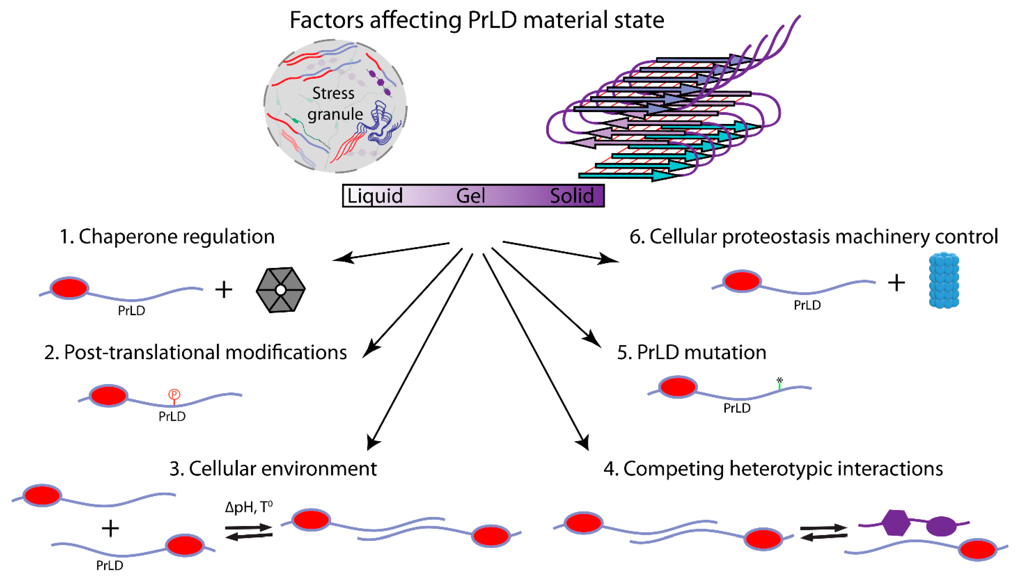 Ijms 22 01251 g003 Ijms 22 01251 g003
