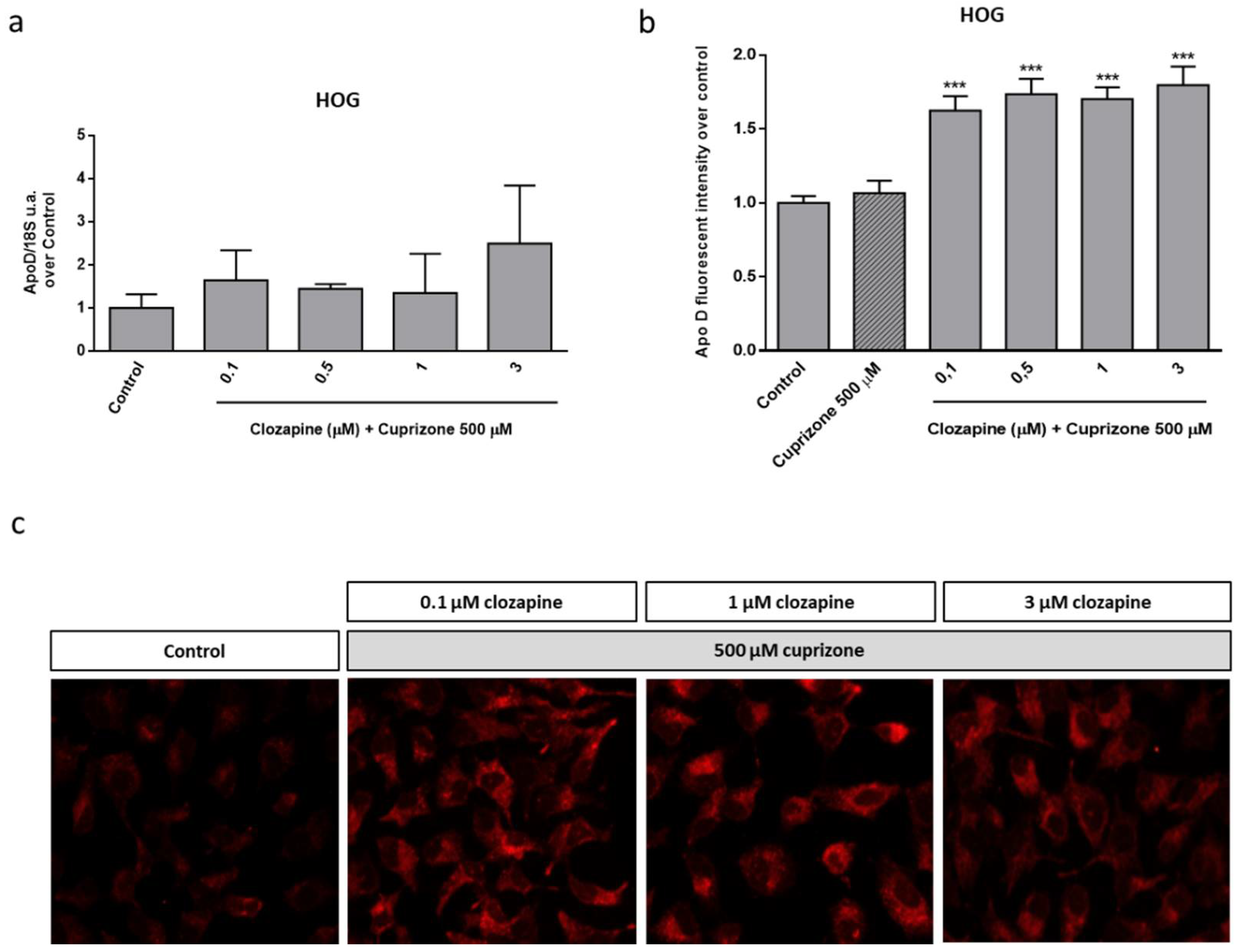 Ijms 22 01260 g005 Ijms 22 01260 g005