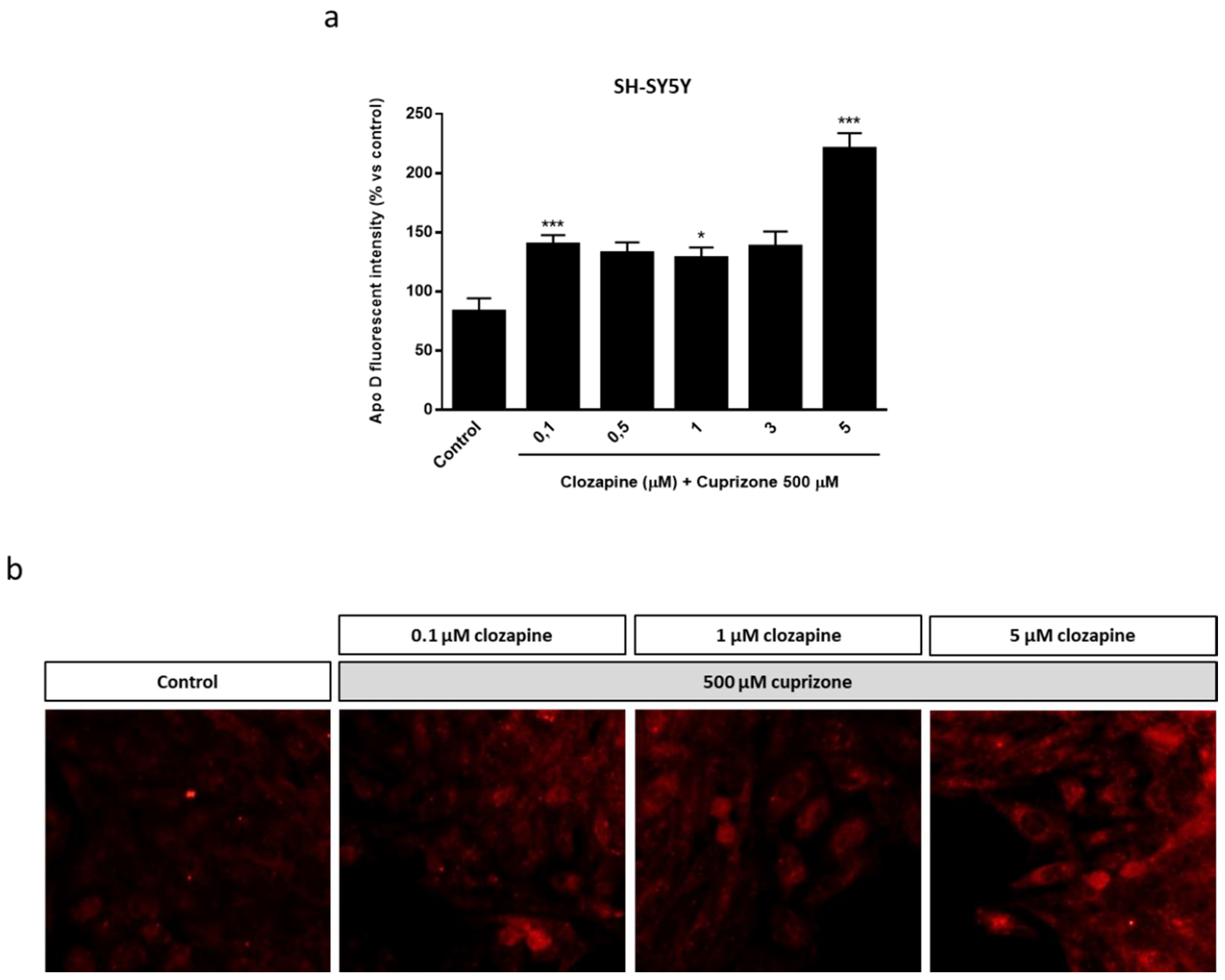 Ijms 22 01260 g007 Ijms 22 01260 g007