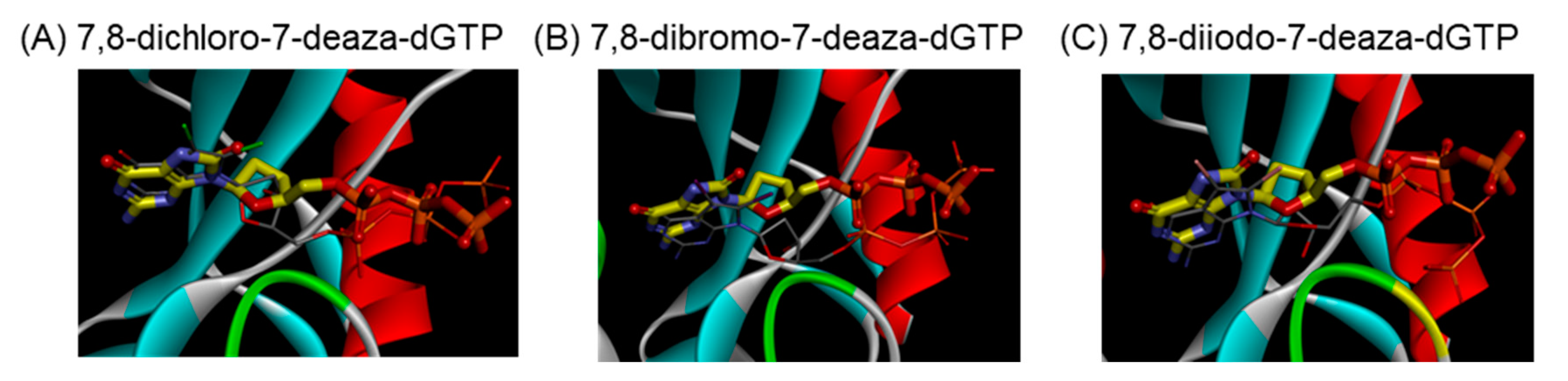 Ijms 22 01274 g003 Ijms 22 01274 g003