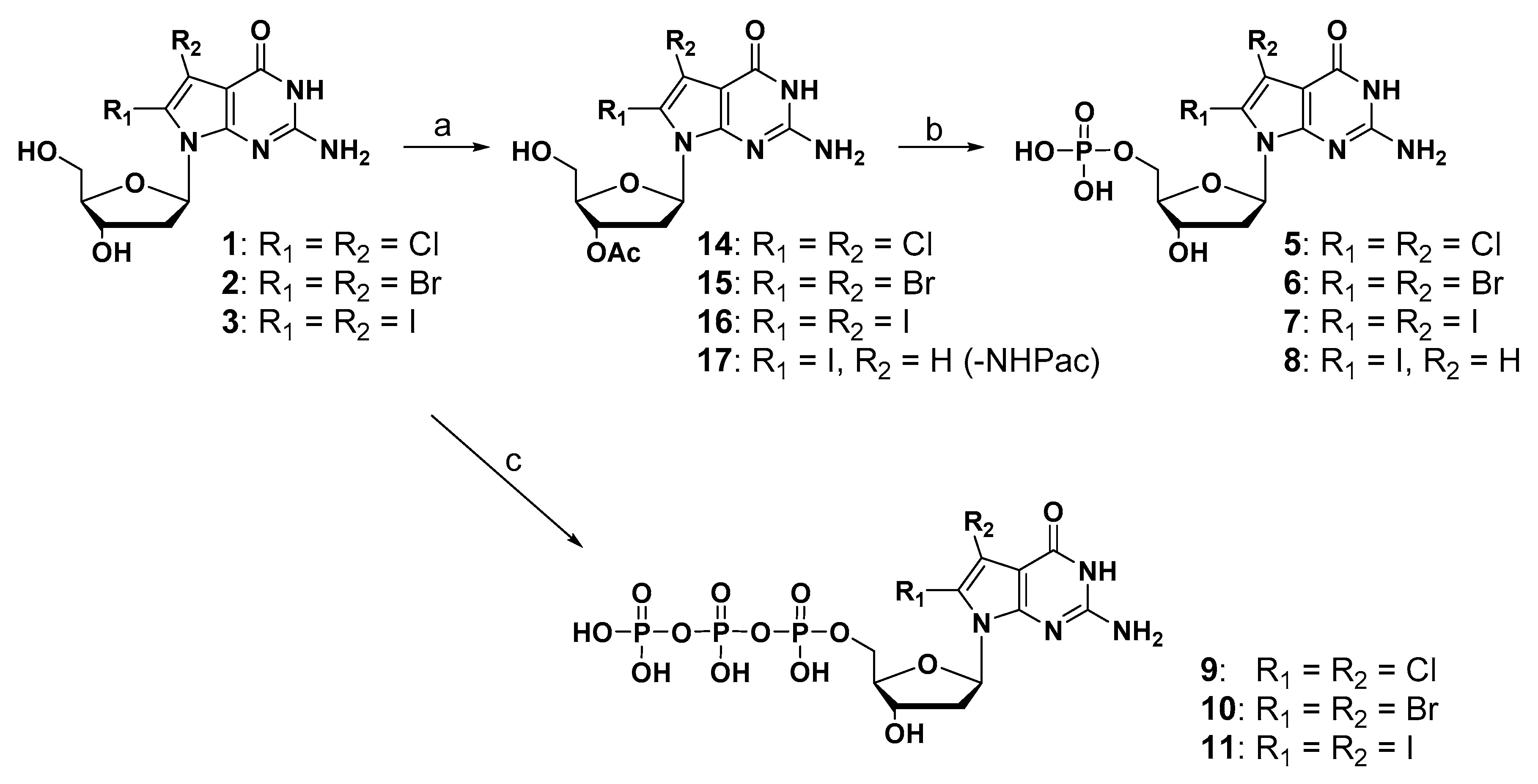 Ijms 22 01274 sch002 Ijms 22 01274 sch002