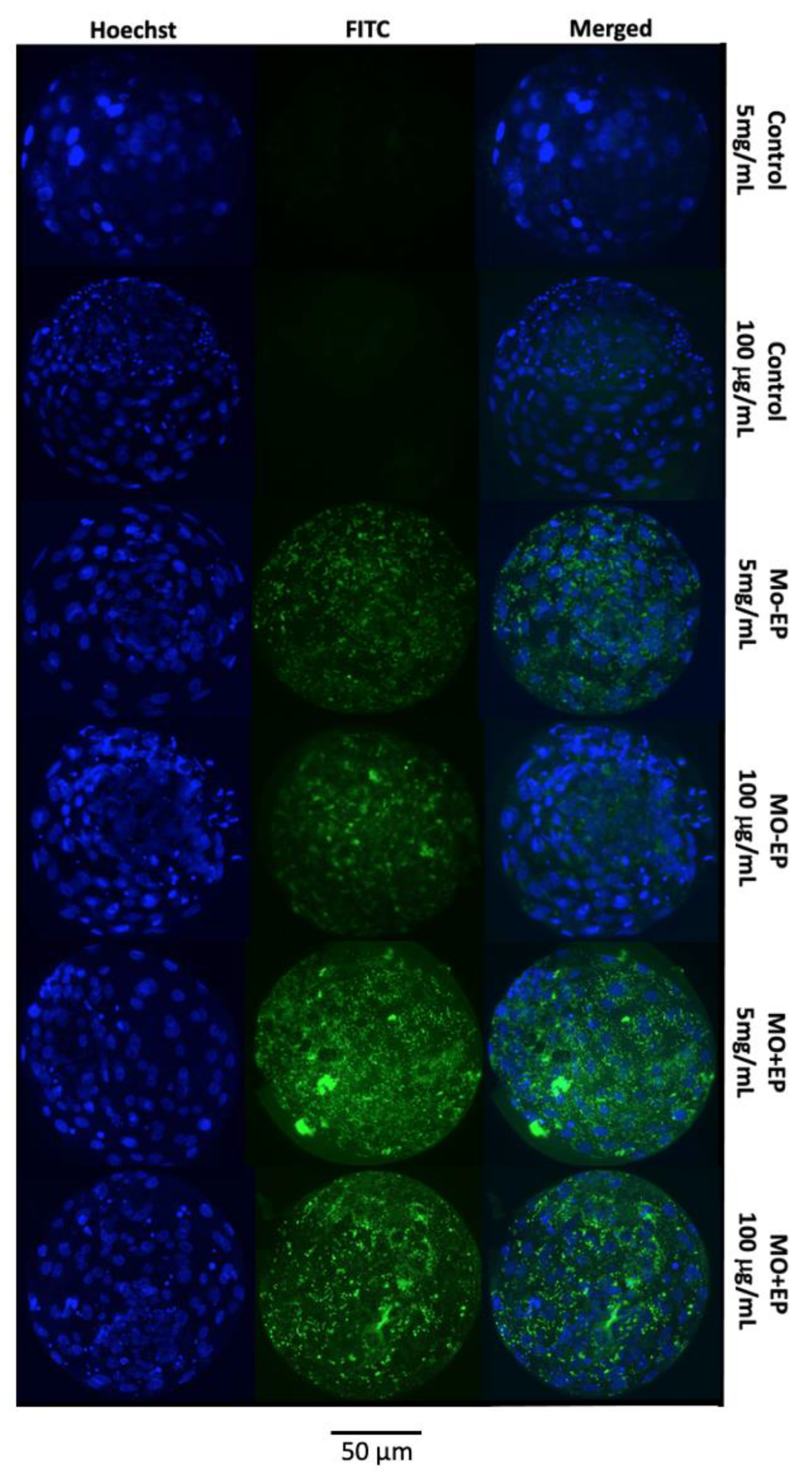 Ijms 22 01311 g002