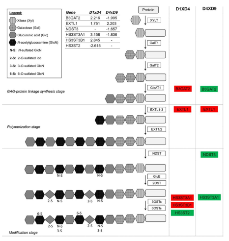 Ijms 22 01330 g007 Ijms 22 01330 g007