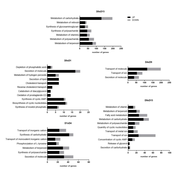 Ijms 22 01330 g008 Ijms 22 01330 g008