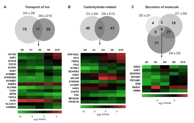 Ijms 22 01330 g009 Ijms 22 01330 g009