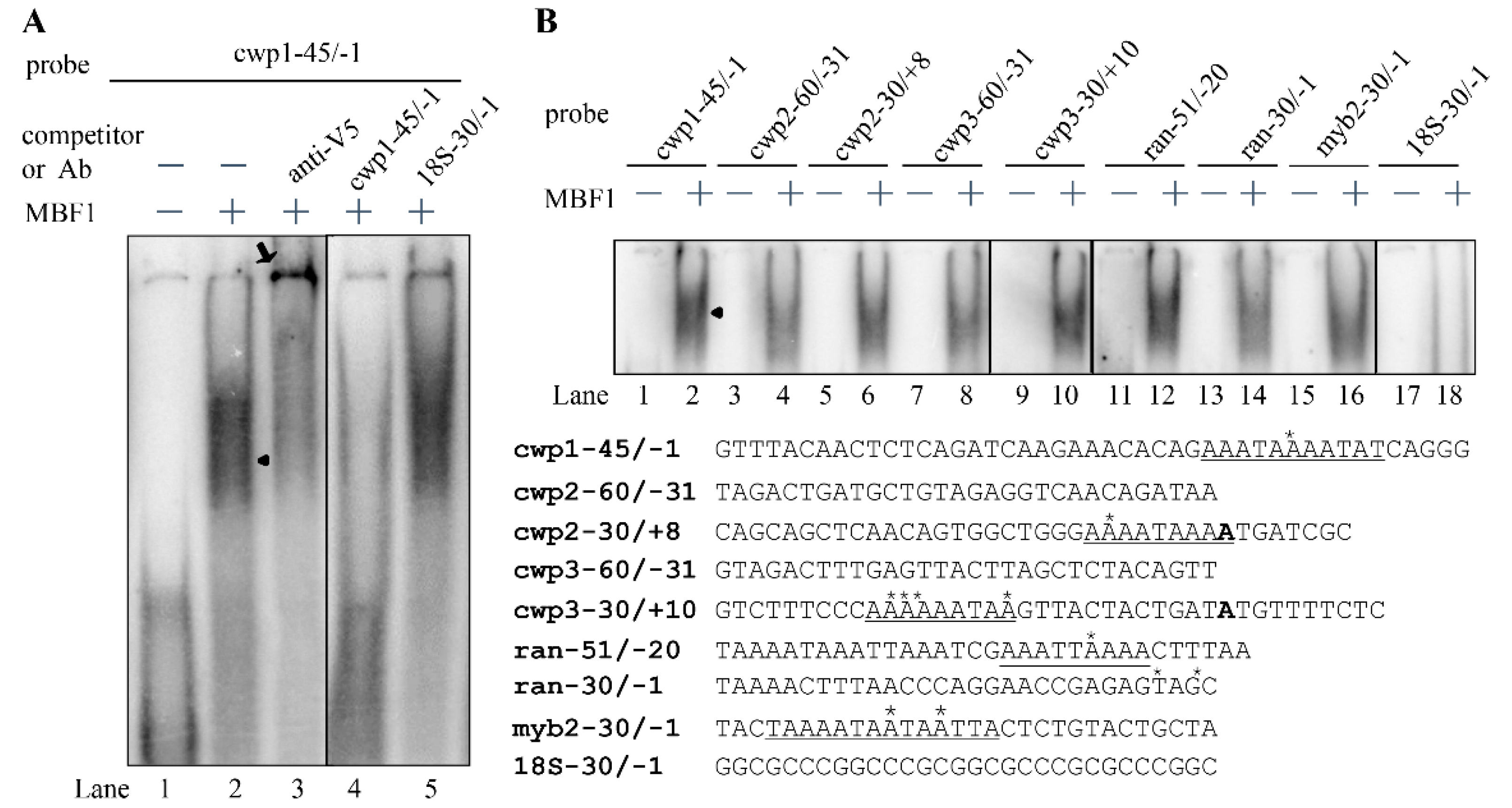 Ijms 22 01370 g004 Ijms 22 01370 g004
