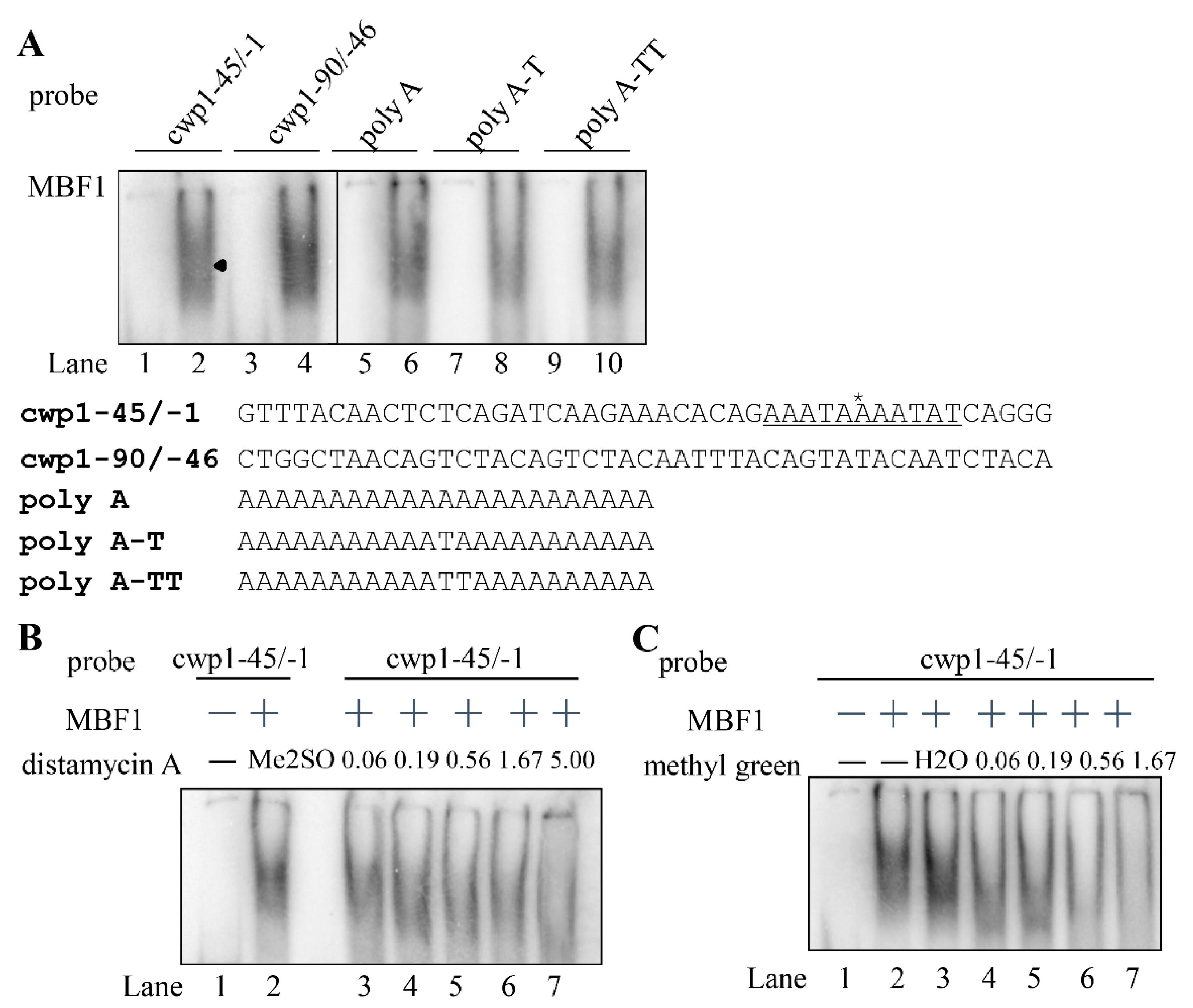 Ijms 22 01370 g005 Ijms 22 01370 g005