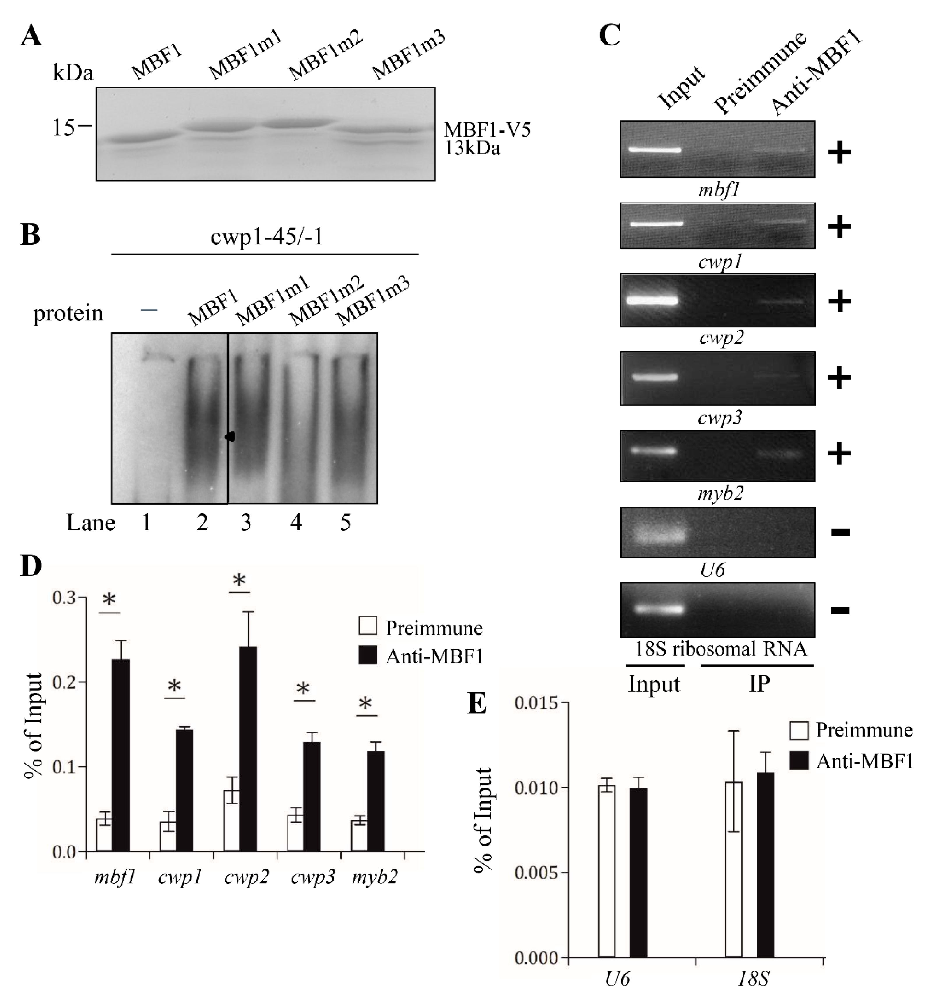 Ijms 22 01370 g006 Ijms 22 01370 g006