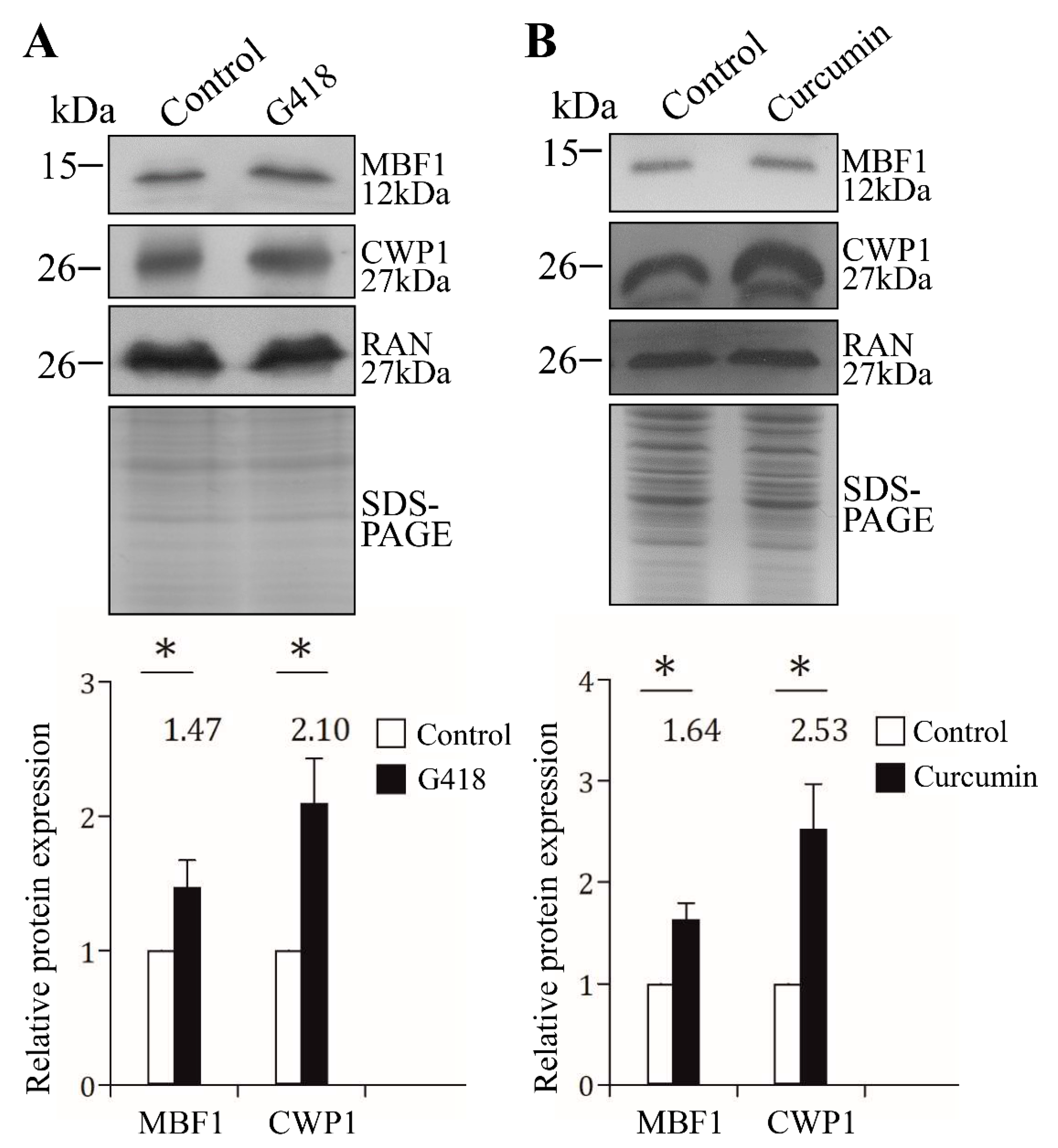Ijms 22 01370 g009 Ijms 22 01370 g009