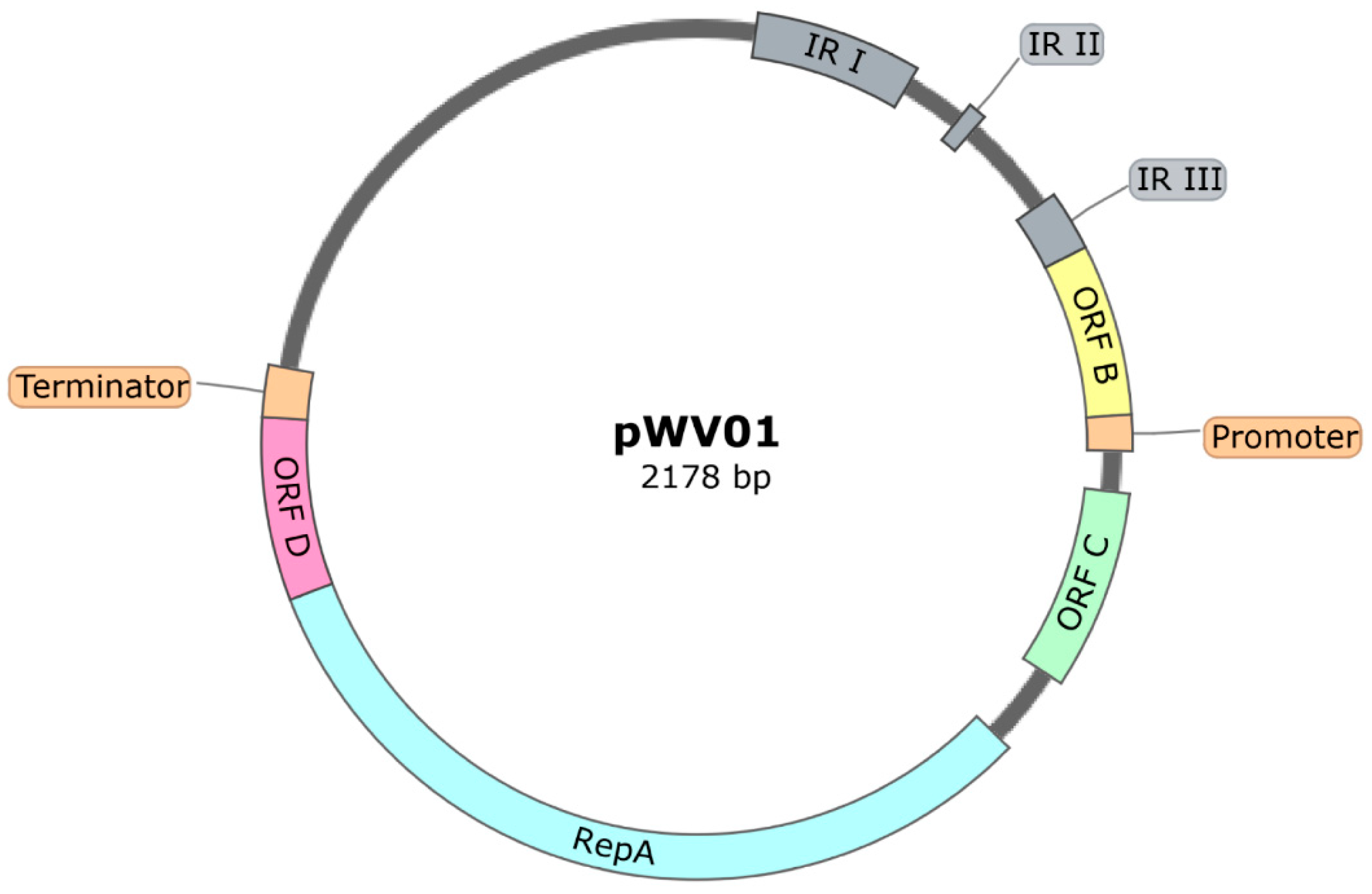 Ijms 22 01379 g003 Ijms 22 01379 g003