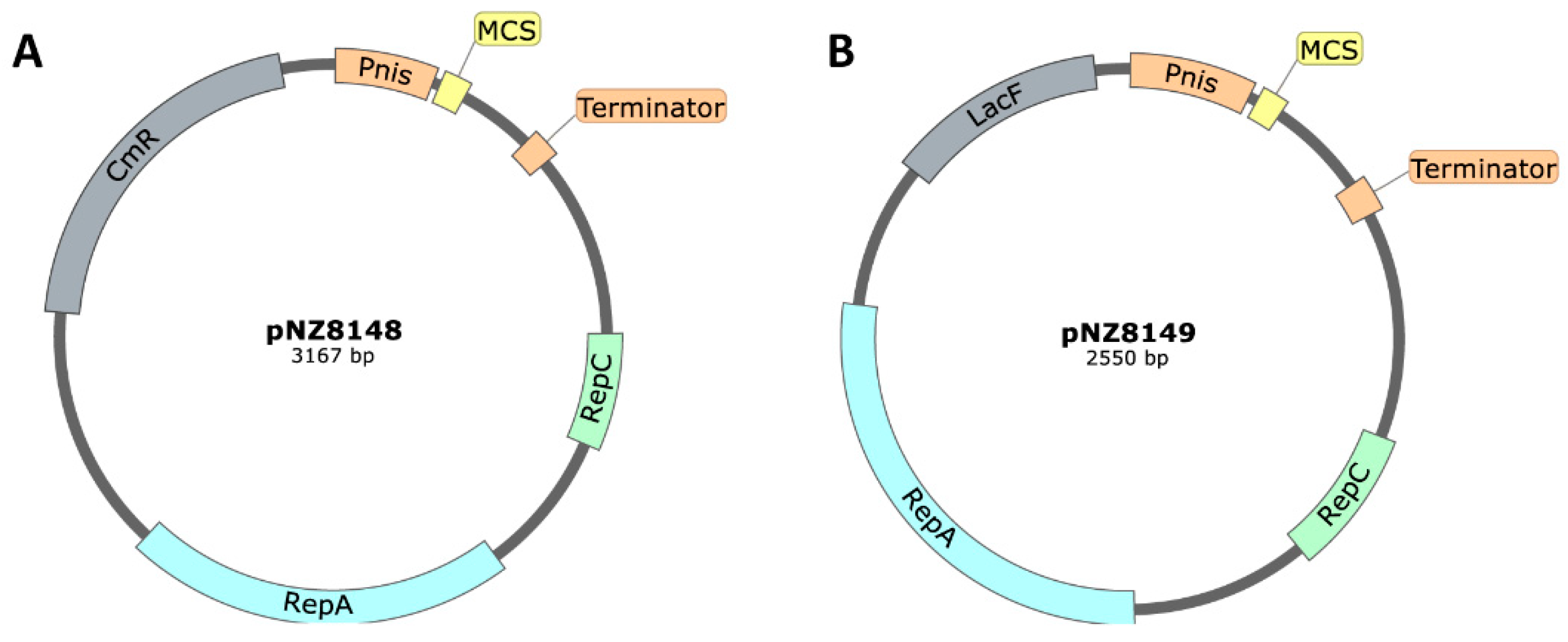 Ijms 22 01379 g005 Ijms 22 01379 g005