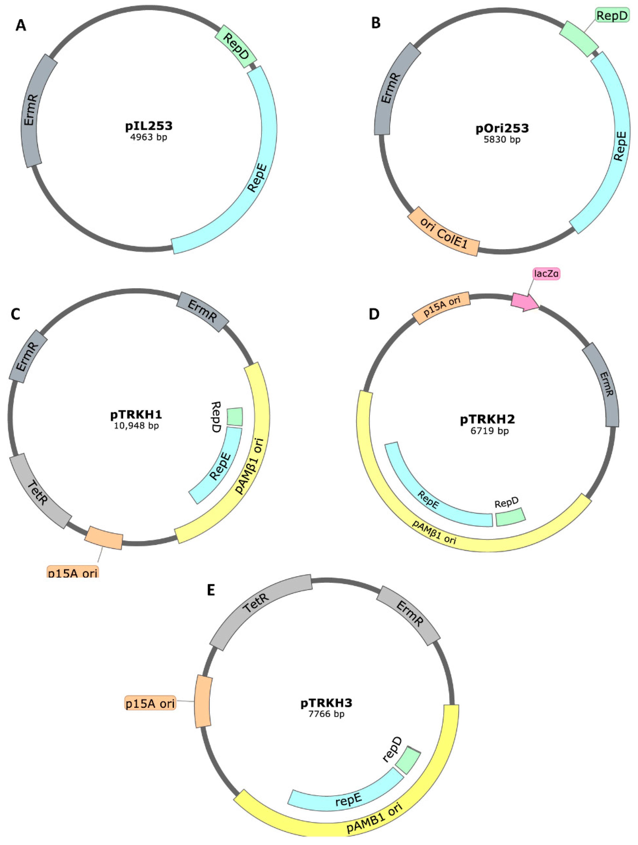 Ijms 22 01379 g006 Ijms 22 01379 g006