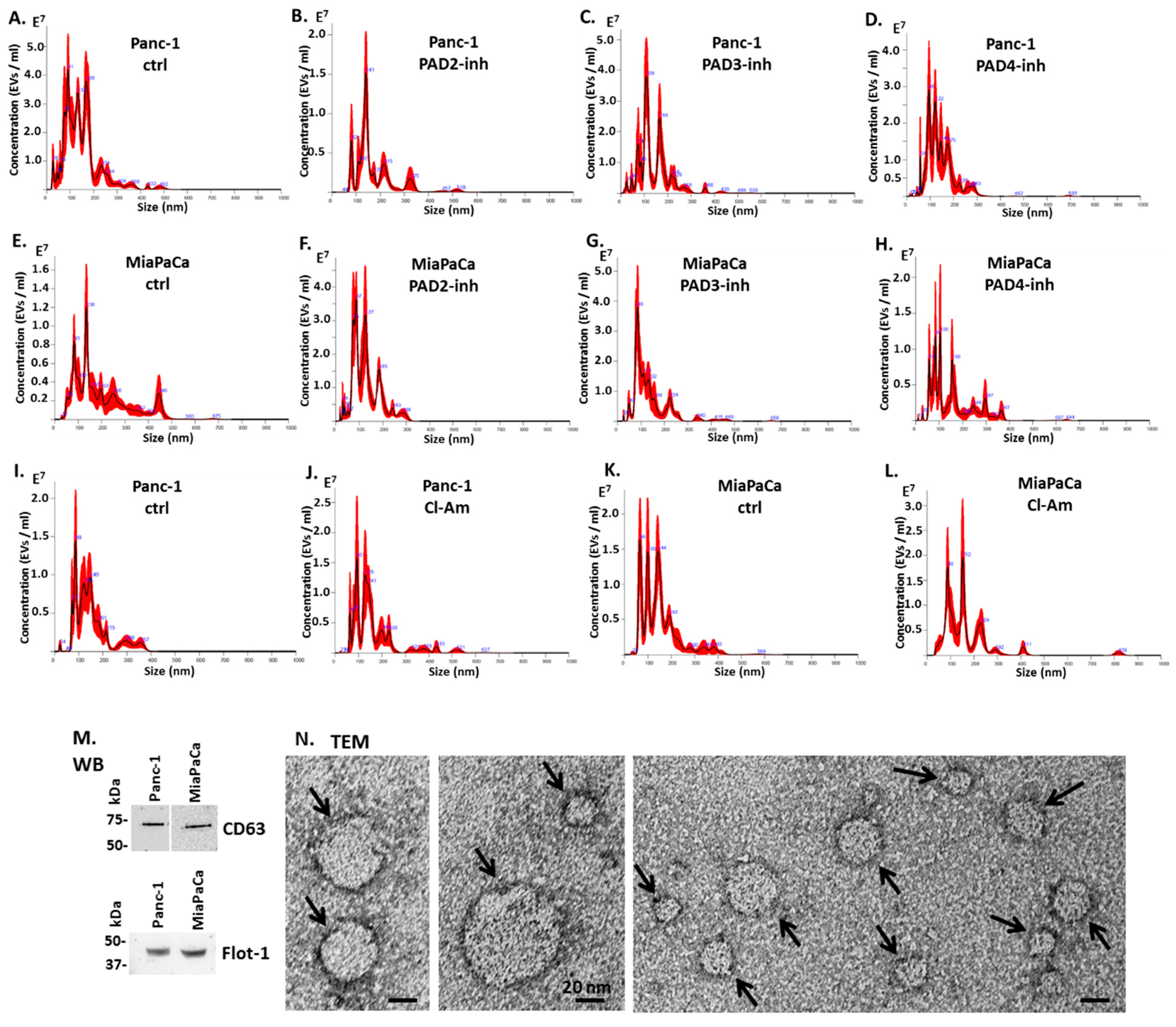 Ijms 22 01396 g004 Ijms 22 01396 g004