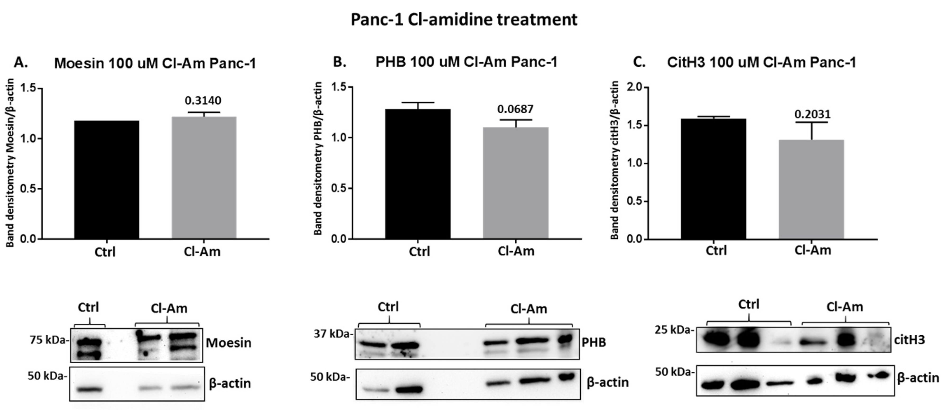 Ijms 22 01396 g008 Ijms 22 01396 g008