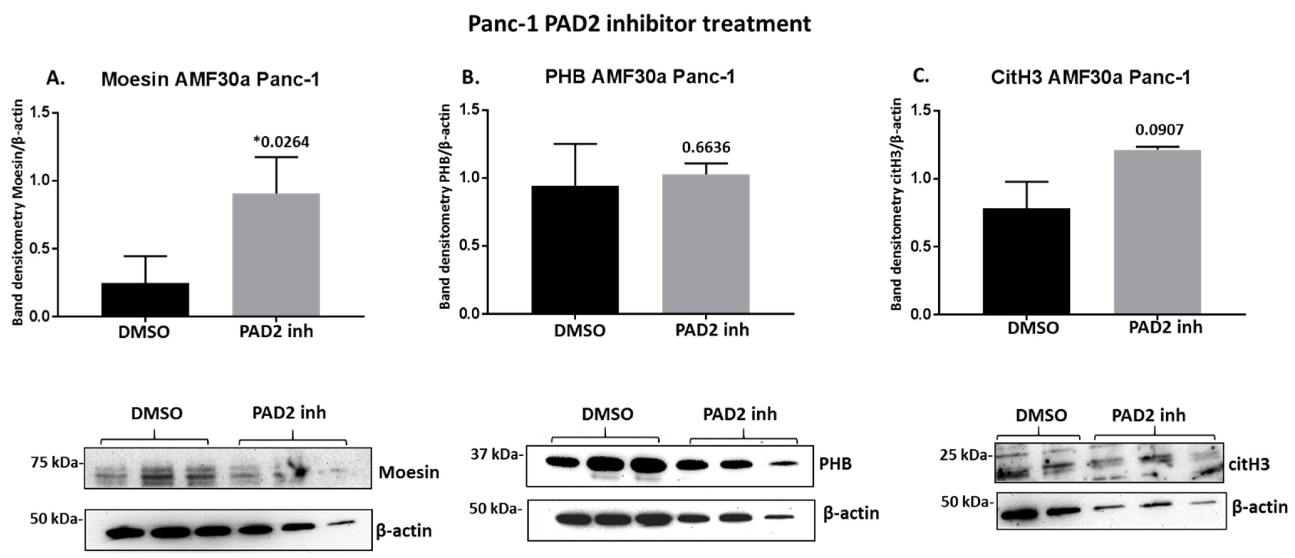 Ijms 22 01396 g010 Ijms 22 01396 g010