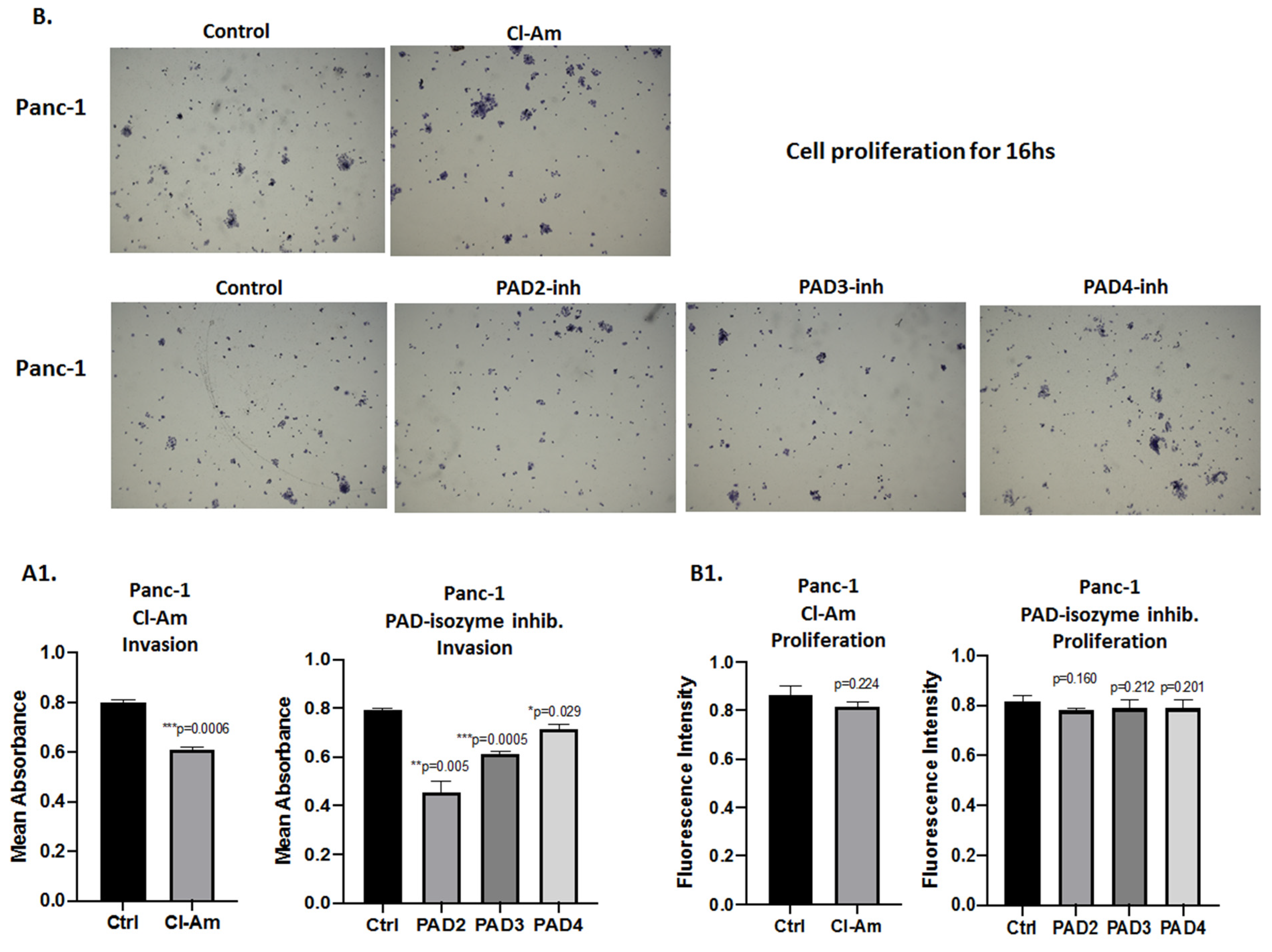 Ijms 22 01396 g011b Ijms 22 01396 g011b
