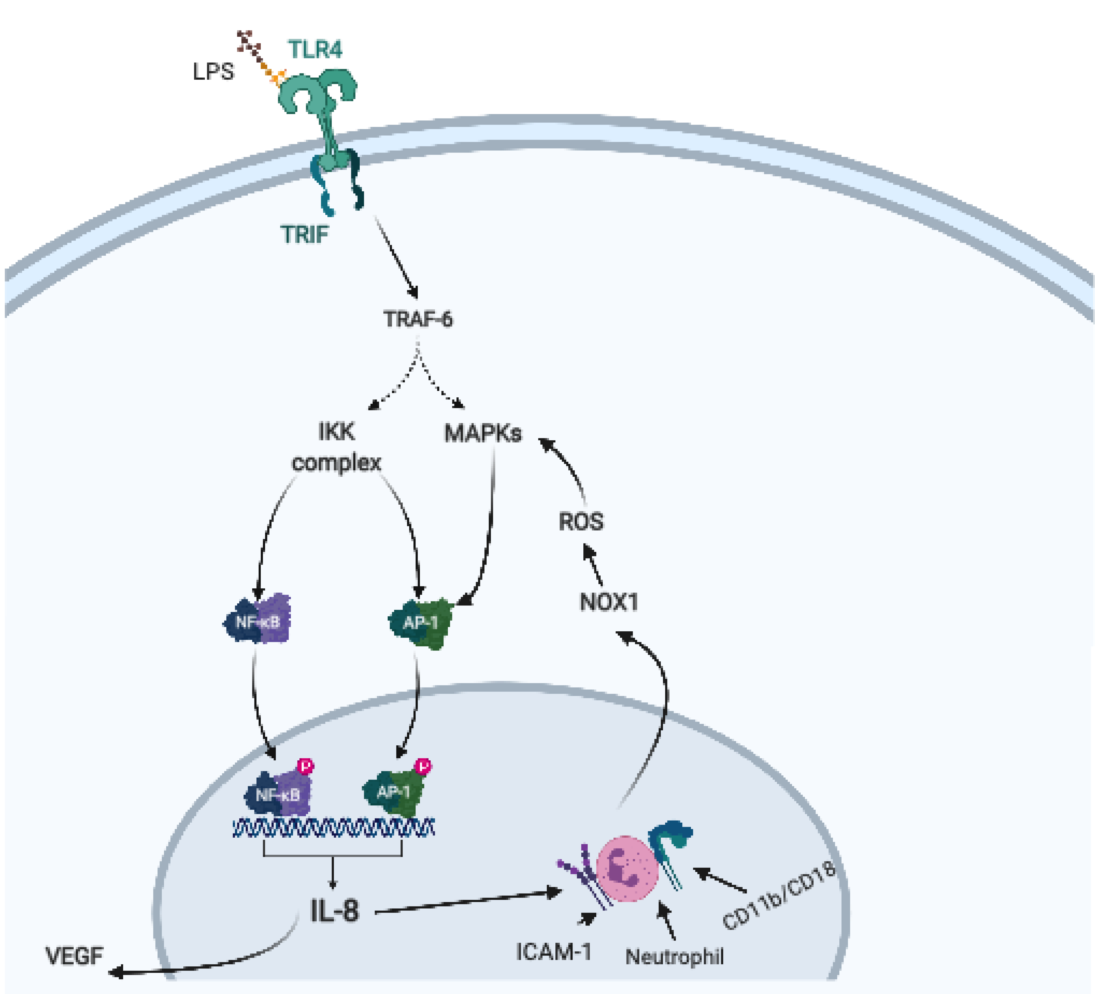 Ijms 22 01406 g002