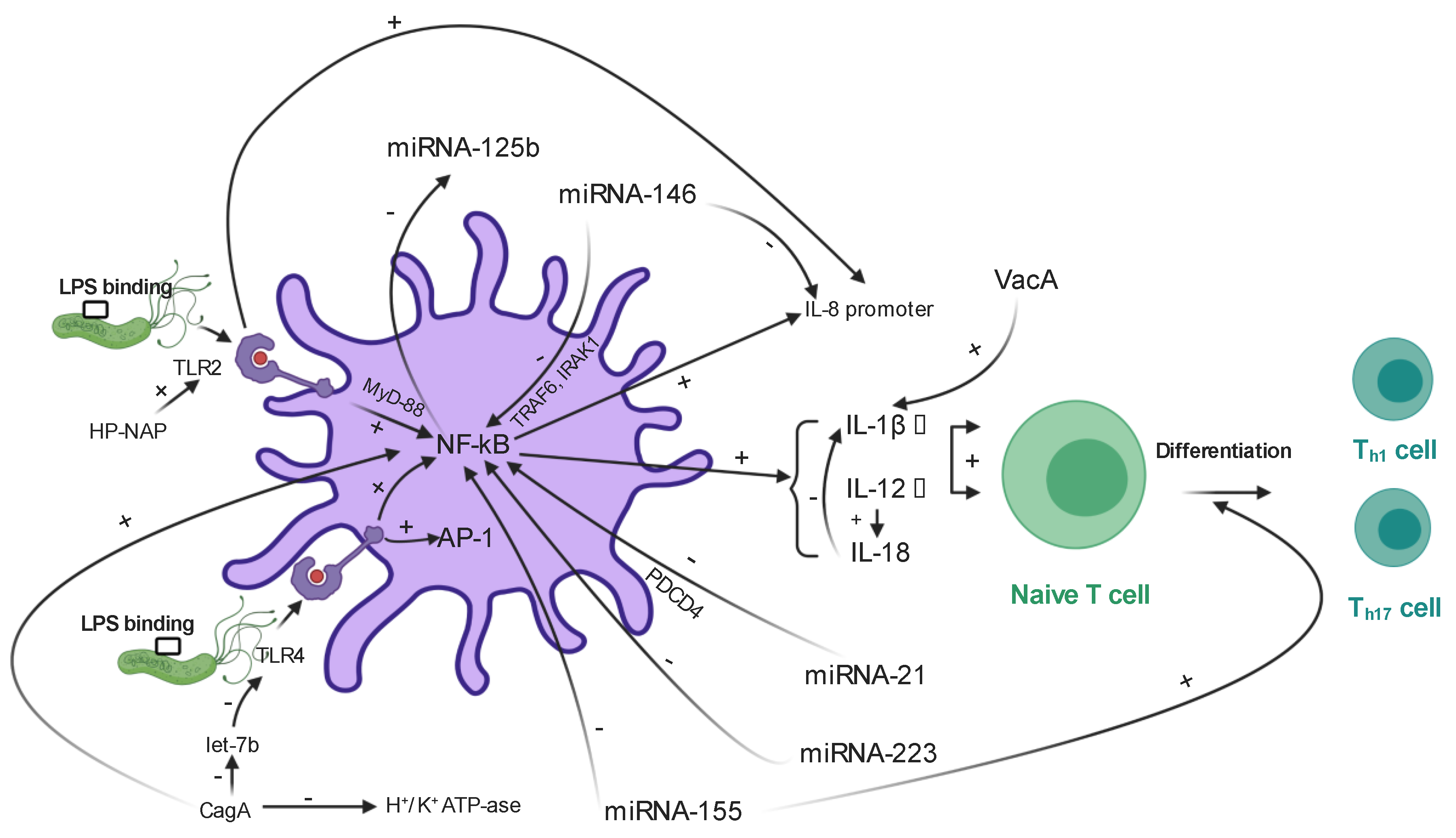 Ijms 22 01406 g003