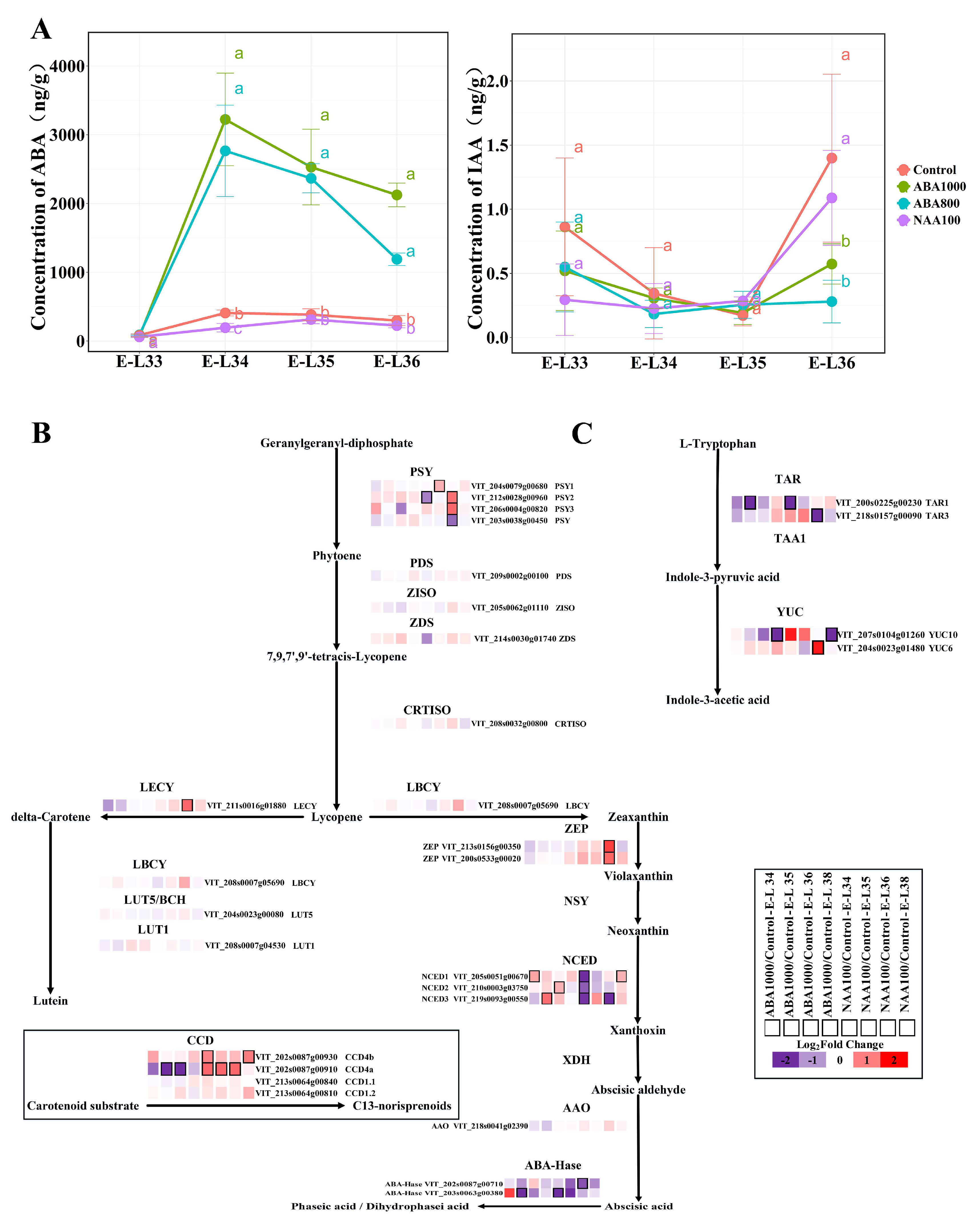 Ijms 22 01420 g002 Ijms 22 01420 g002