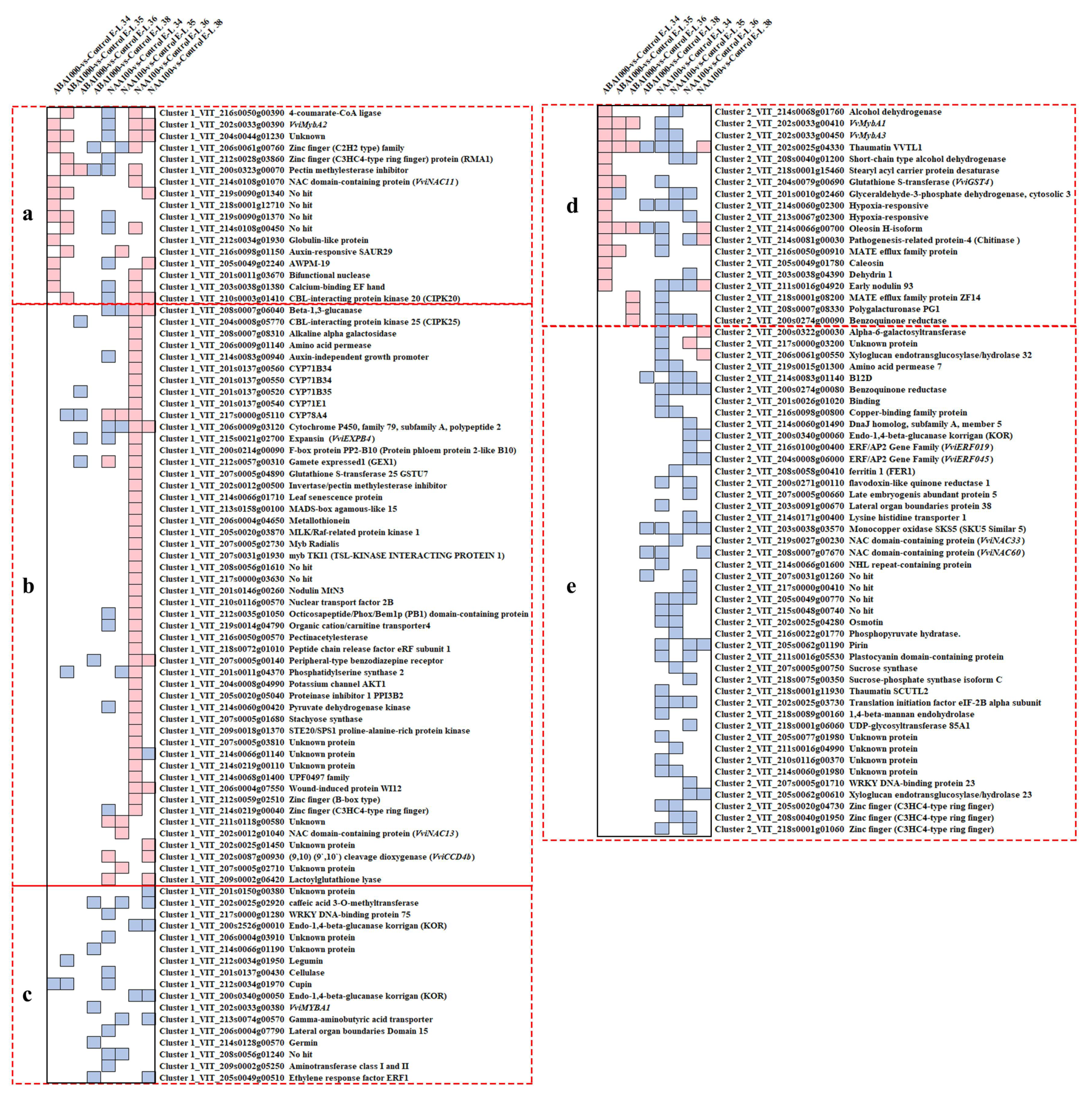 Ijms 22 01420 g004 Ijms 22 01420 g004