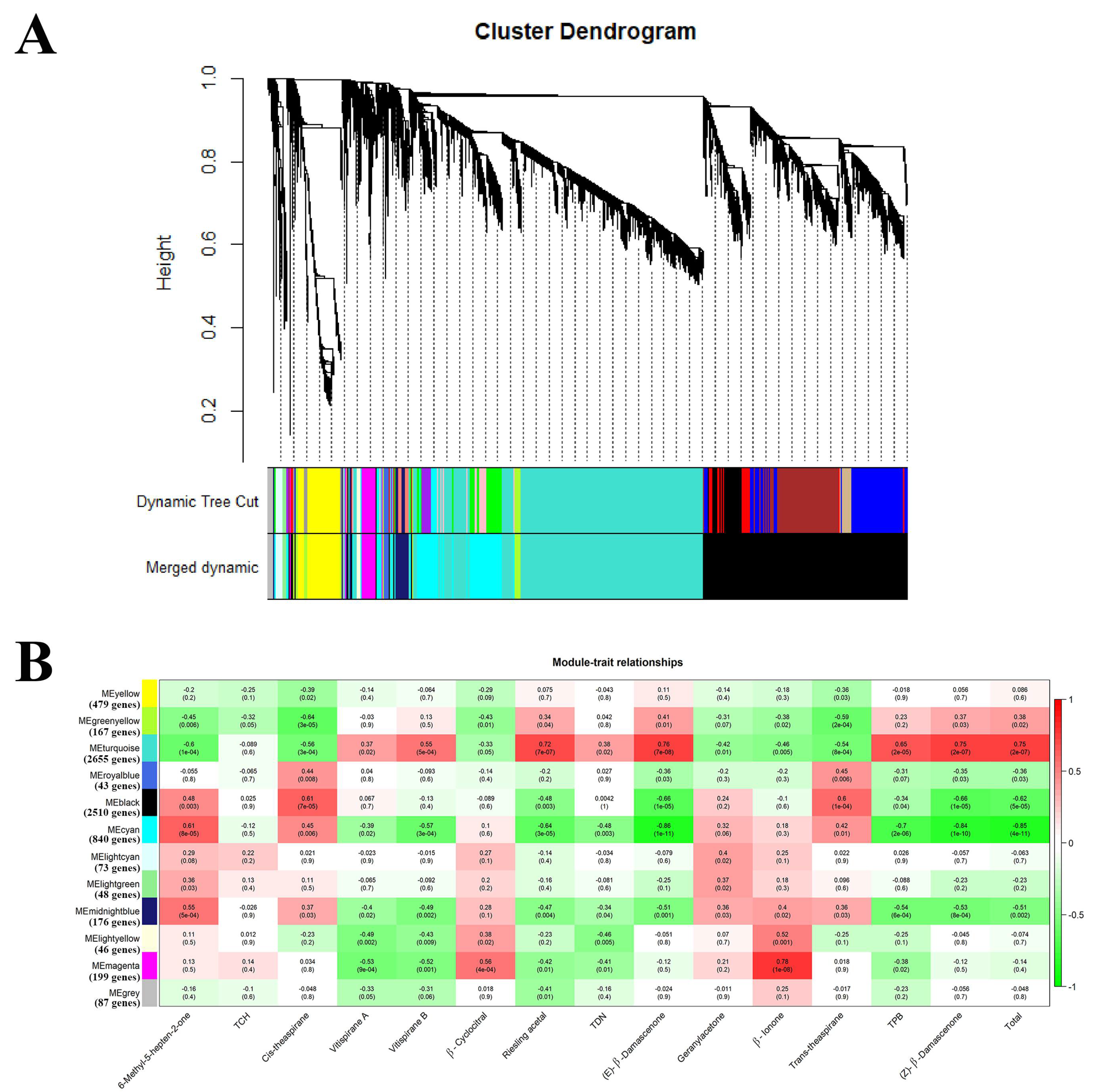 Ijms 22 01420 g006 Ijms 22 01420 g006