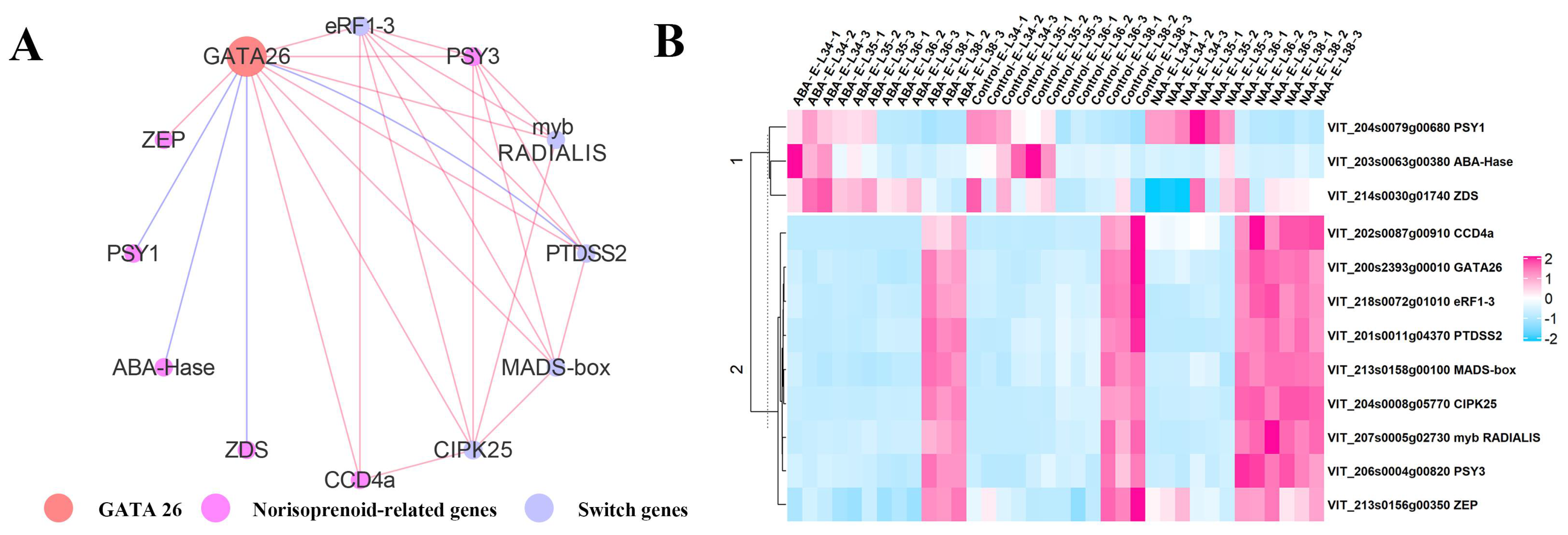 Ijms 22 01420 g007 Ijms 22 01420 g007
