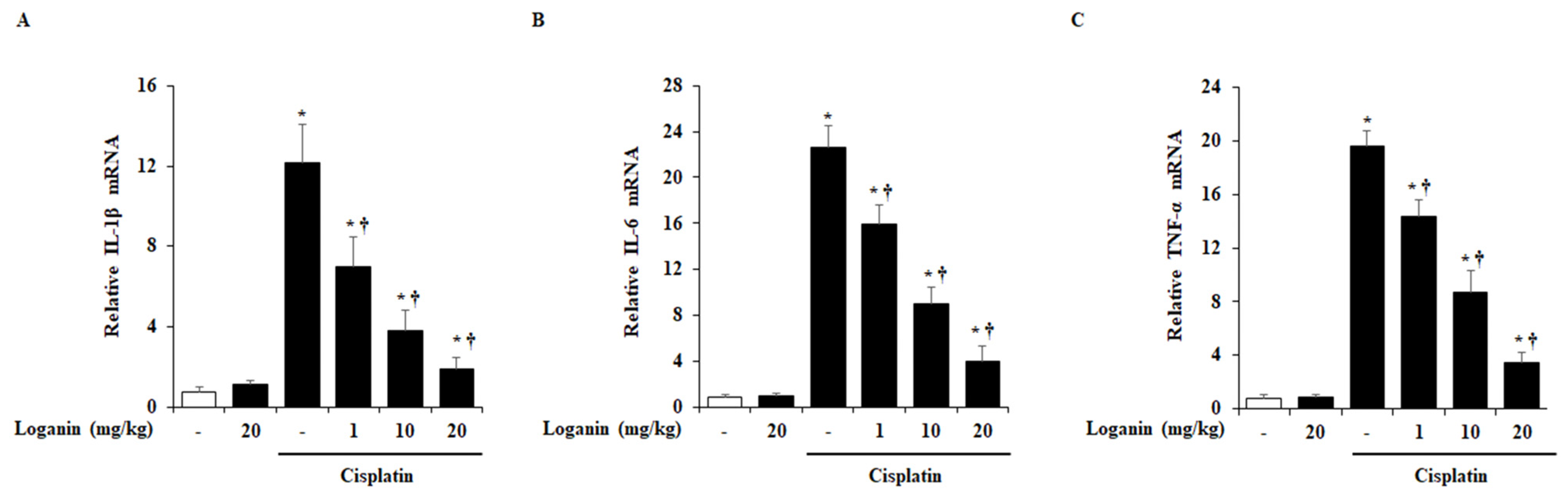 Ijms 22 01421 g004 Ijms 22 01421 g004