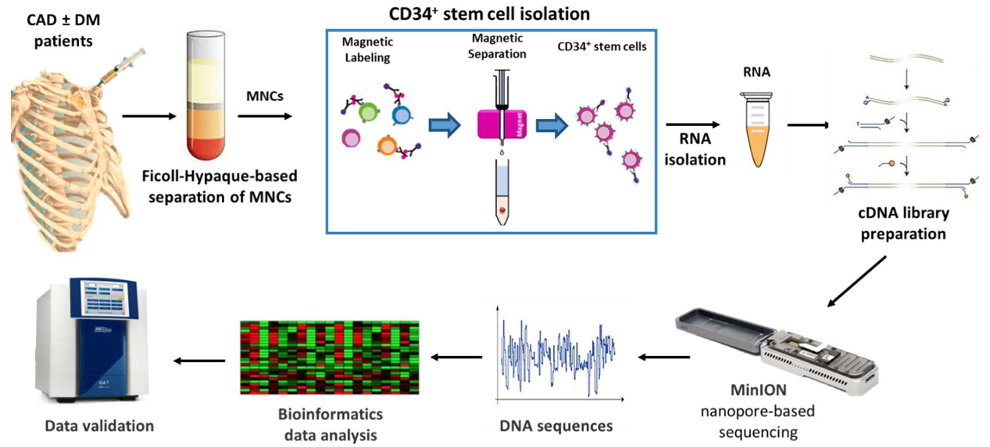 Ijms 22 01423 g001 Ijms 22 01423 g001
