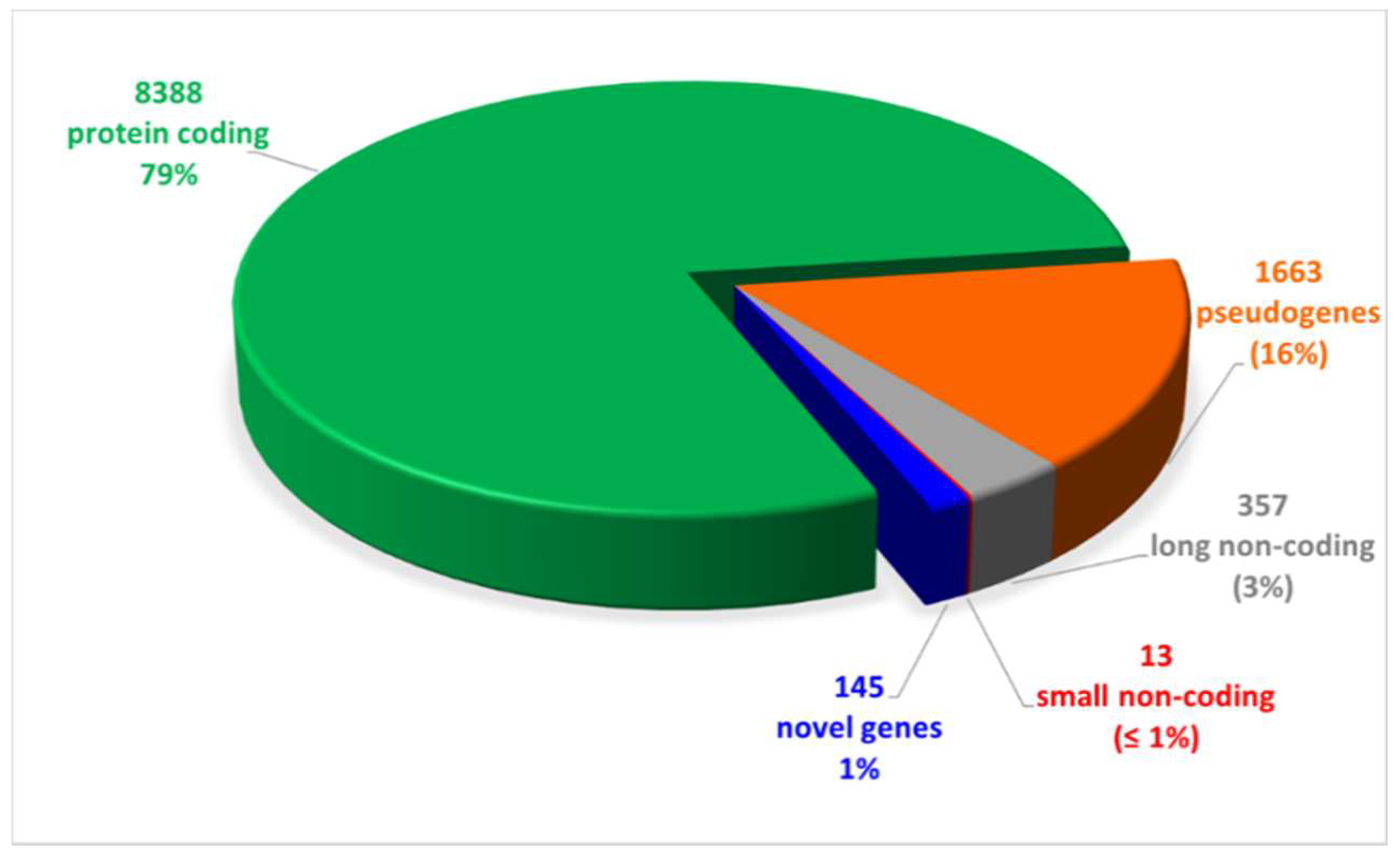 Ijms 22 01423 g002 Ijms 22 01423 g002