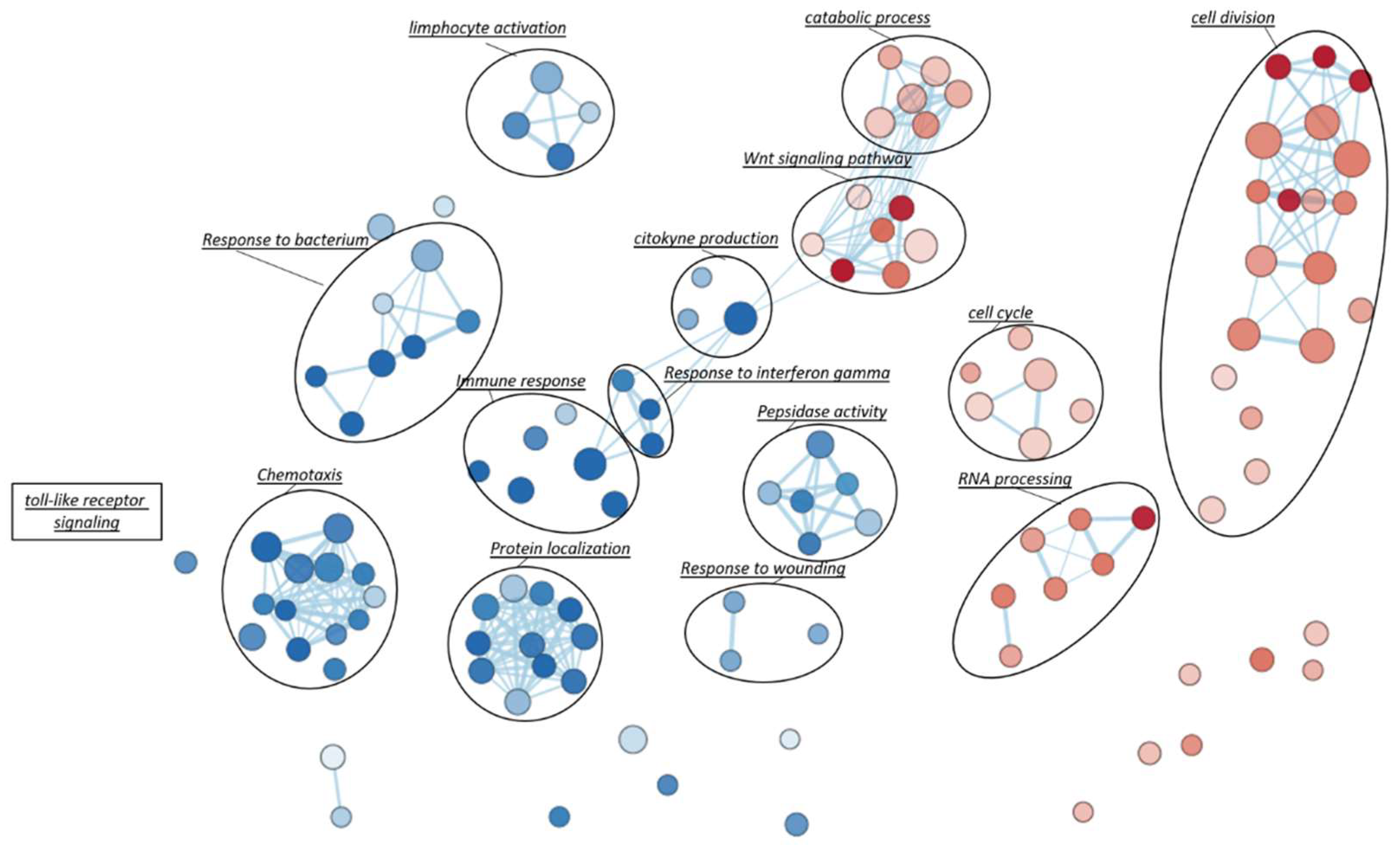 Ijms 22 01423 g004 Ijms 22 01423 g004
