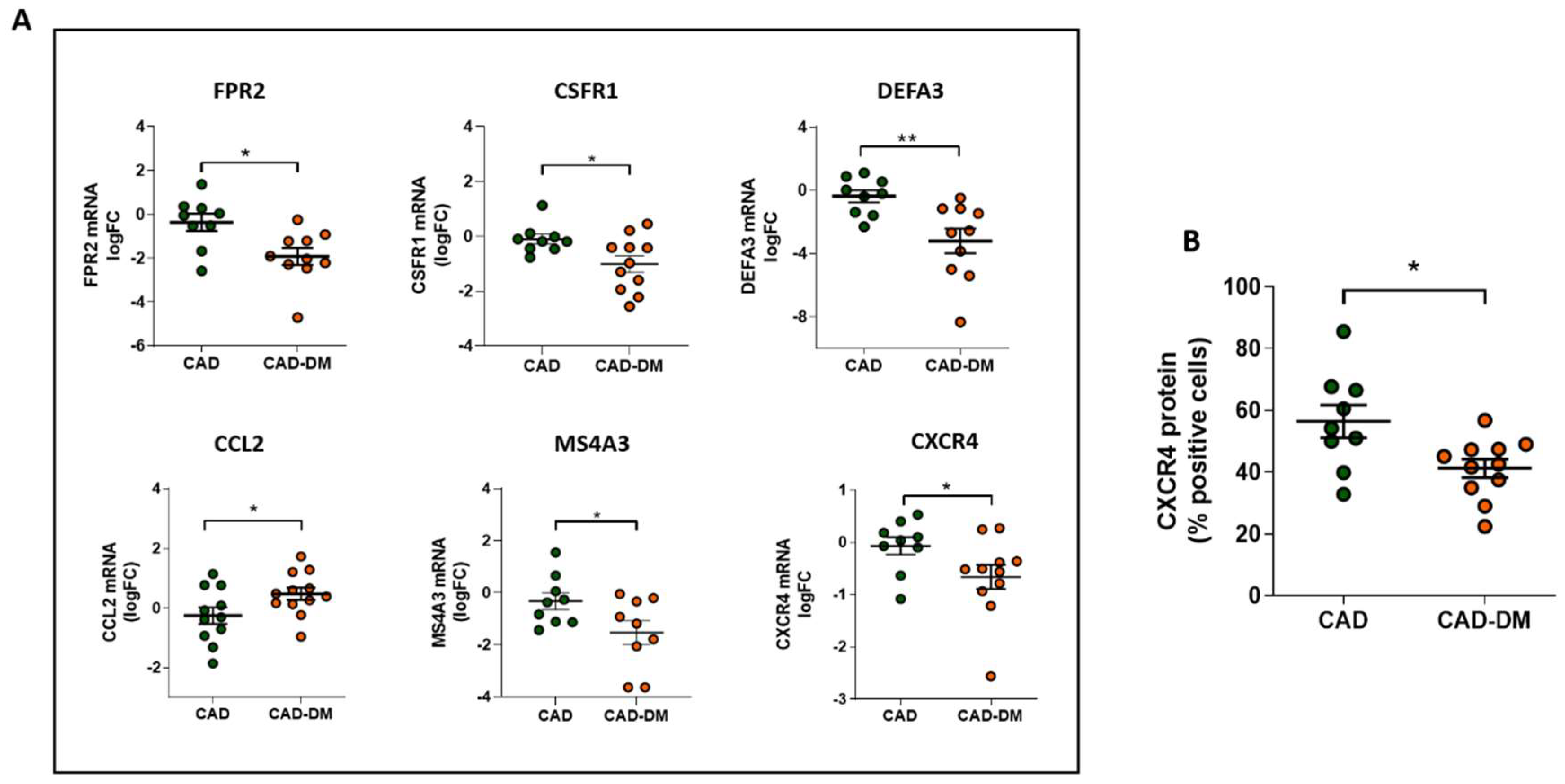 Ijms 22 01423 g006 Ijms 22 01423 g006