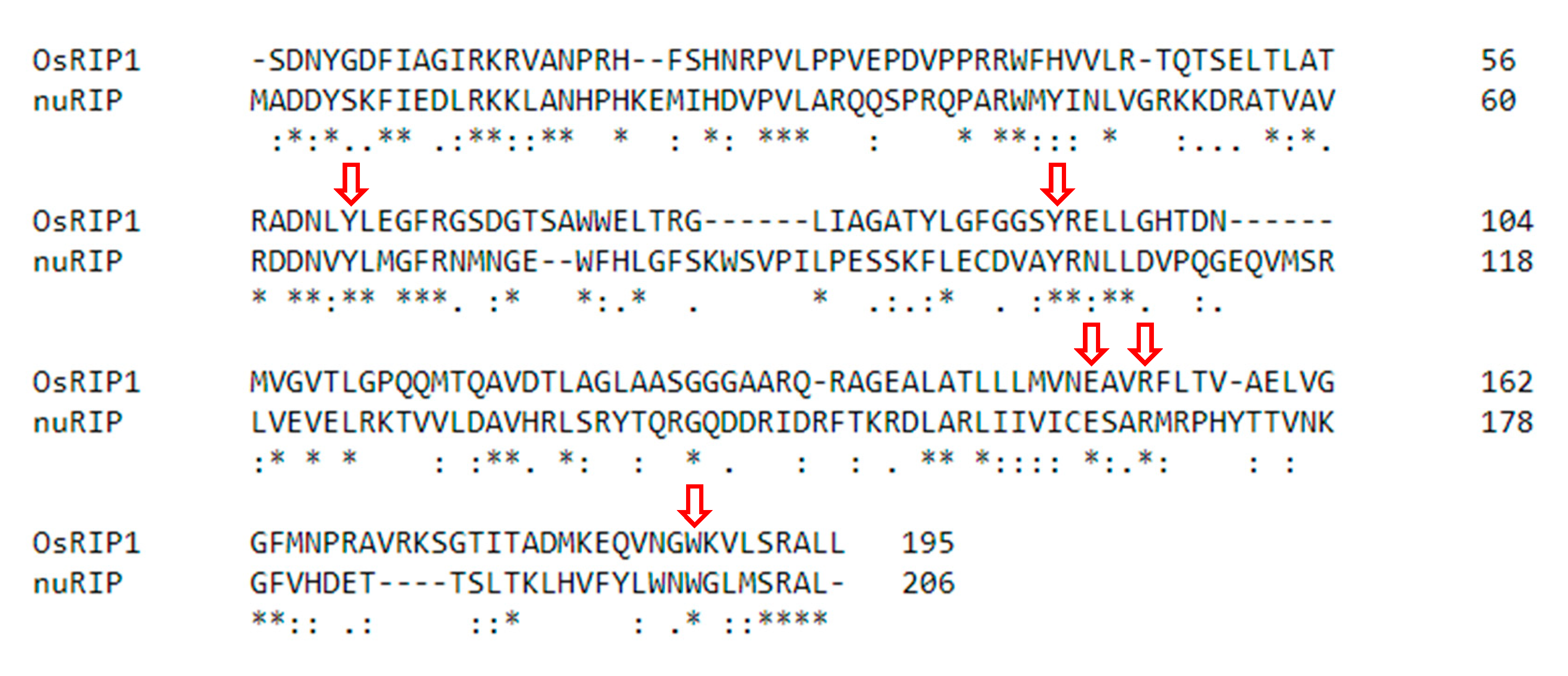 Ijms 22 01434 g001 Ijms 22 01434 g001