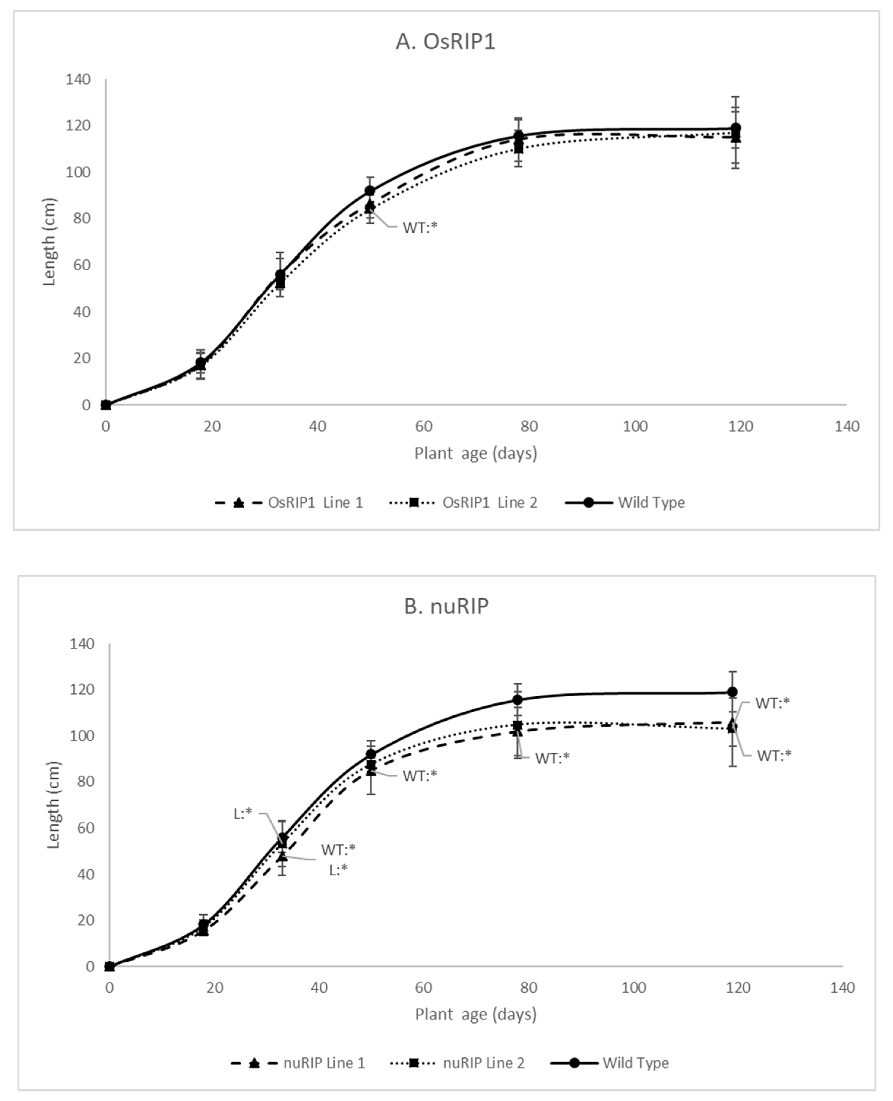 Ijms 22 01434 g005 Ijms 22 01434 g005