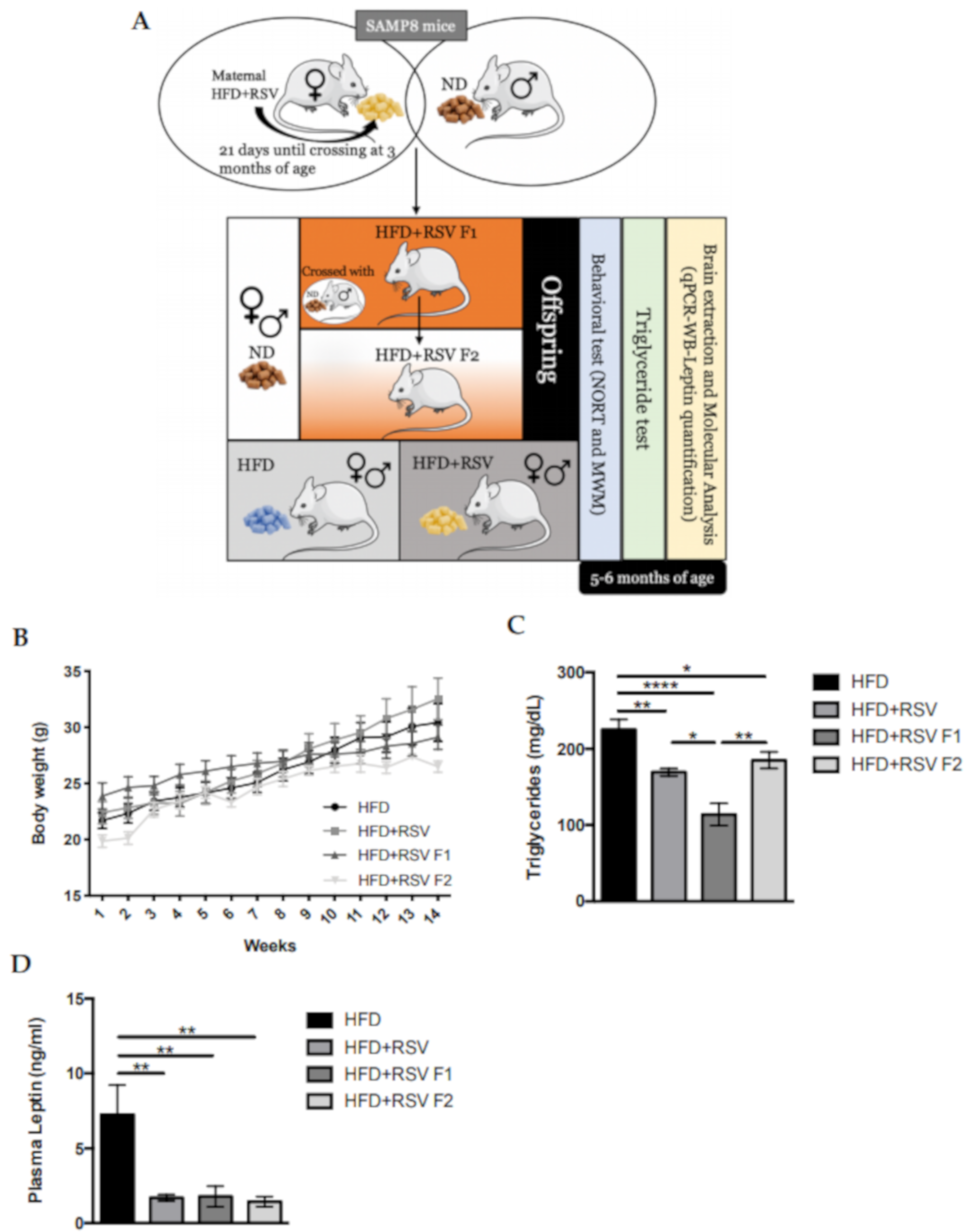 Ijms 22 01453 g001 Ijms 22 01453 g001
