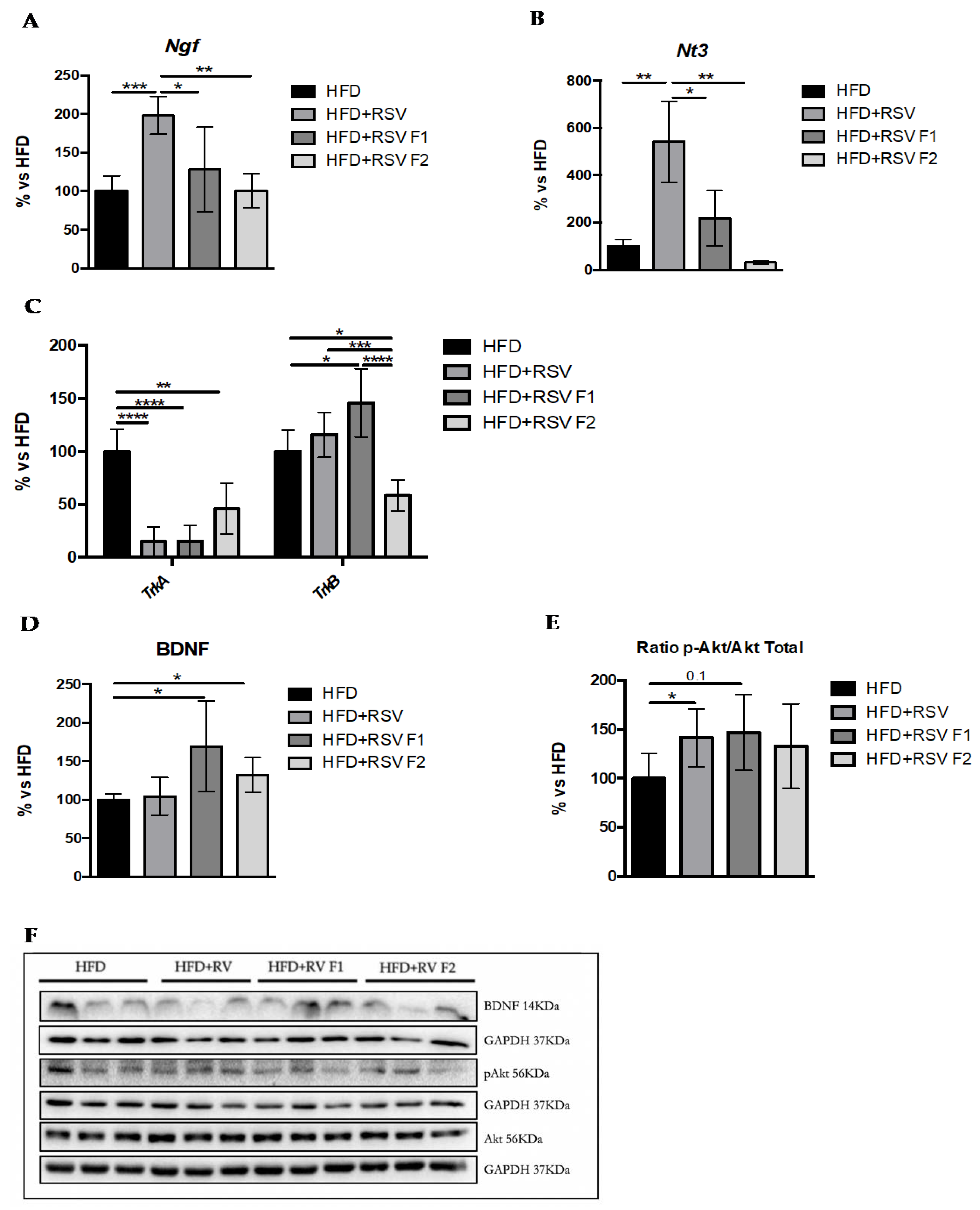 Ijms 22 01453 g005 Ijms 22 01453 g005