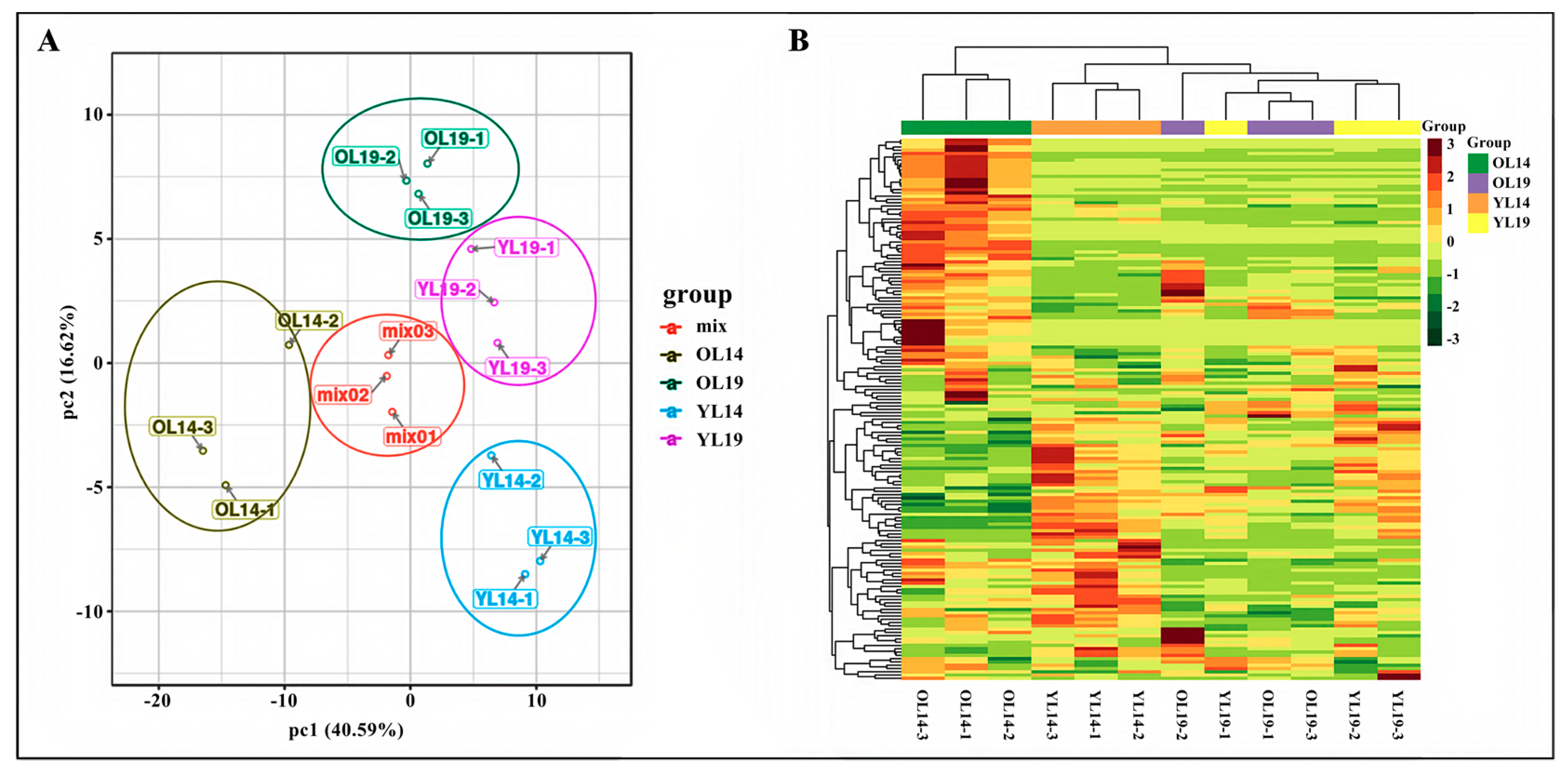 Ijms 22 01494 g002 Ijms 22 01494 g002