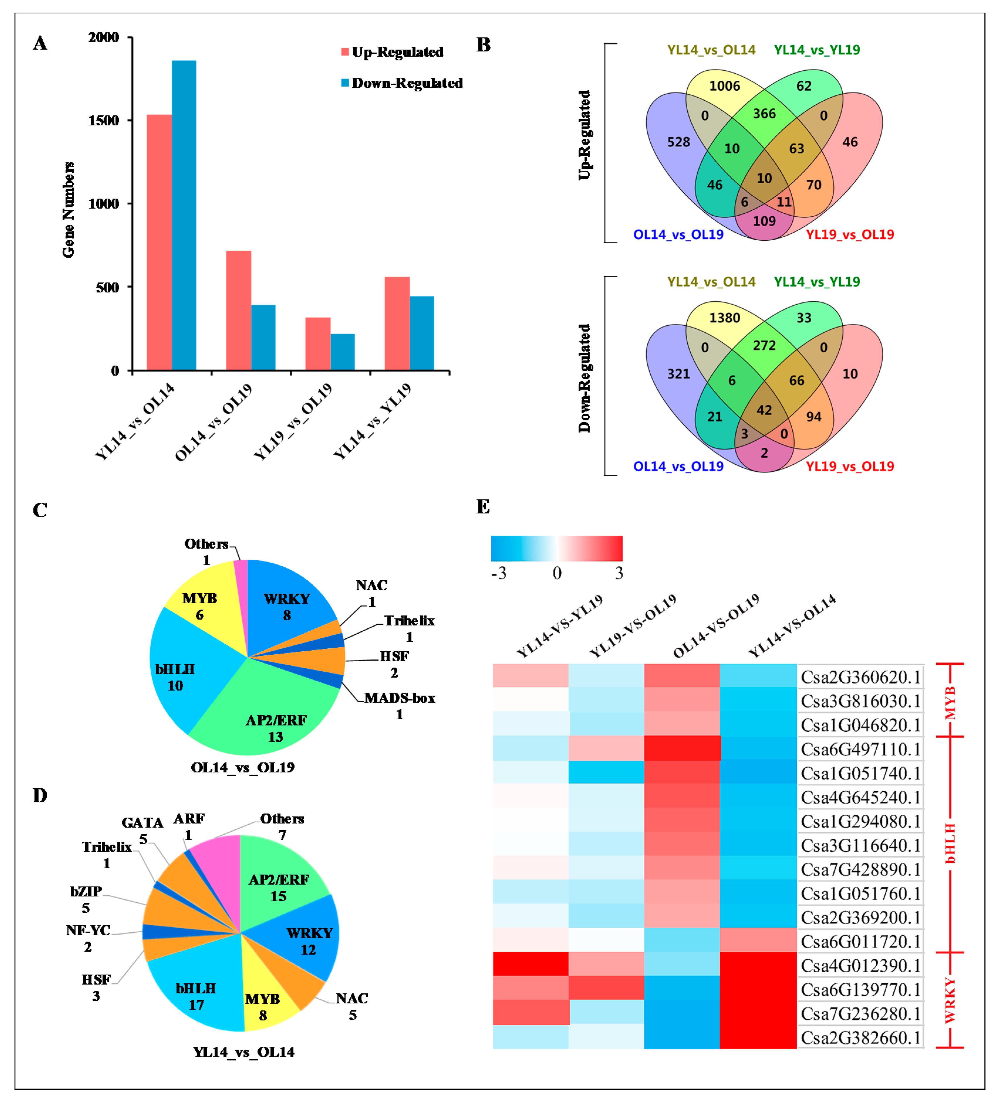 Ijms 22 01494 g004 Ijms 22 01494 g004