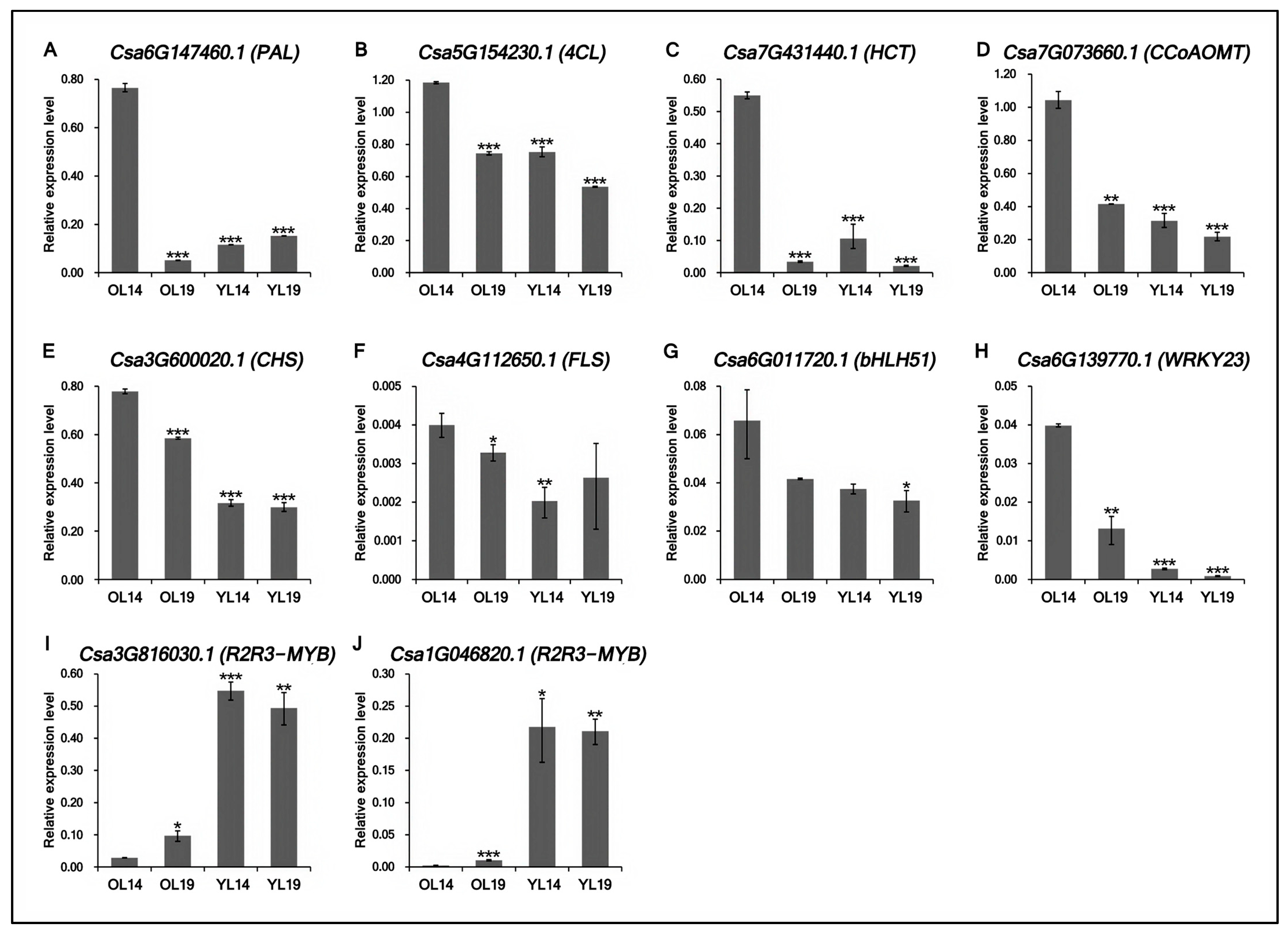 Ijms 22 01494 g006 Ijms 22 01494 g006