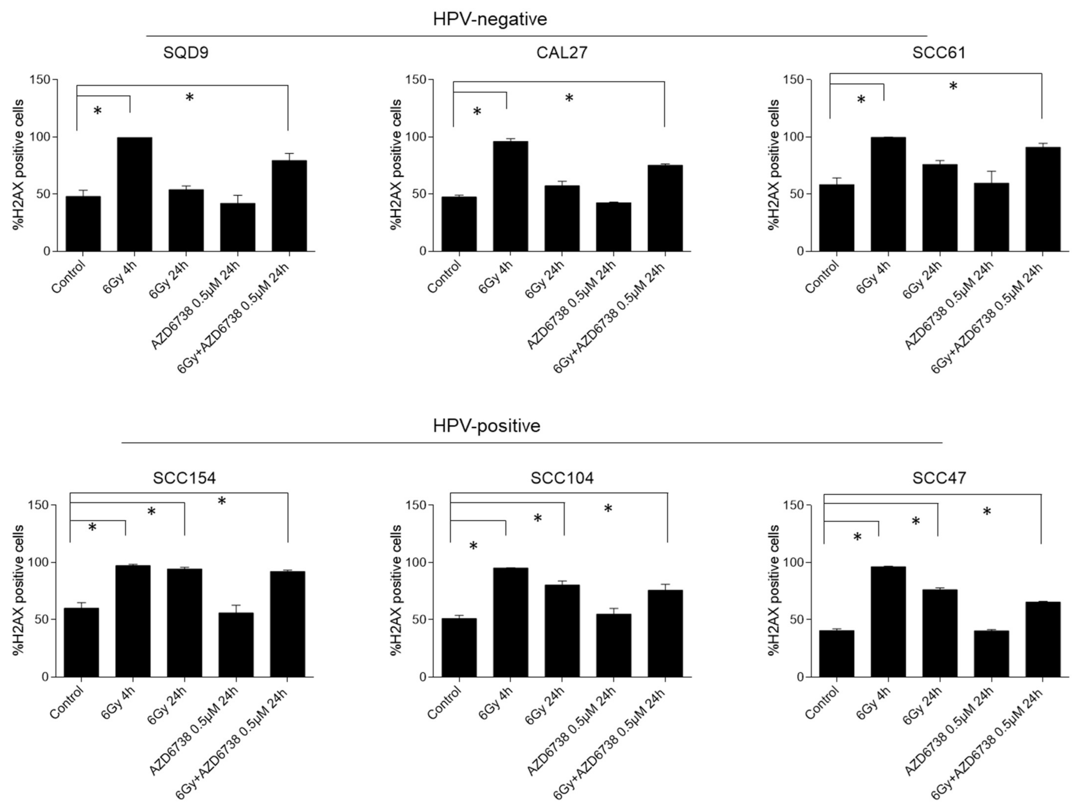 Ijms 22 01504 g005 Ijms 22 01504 g005