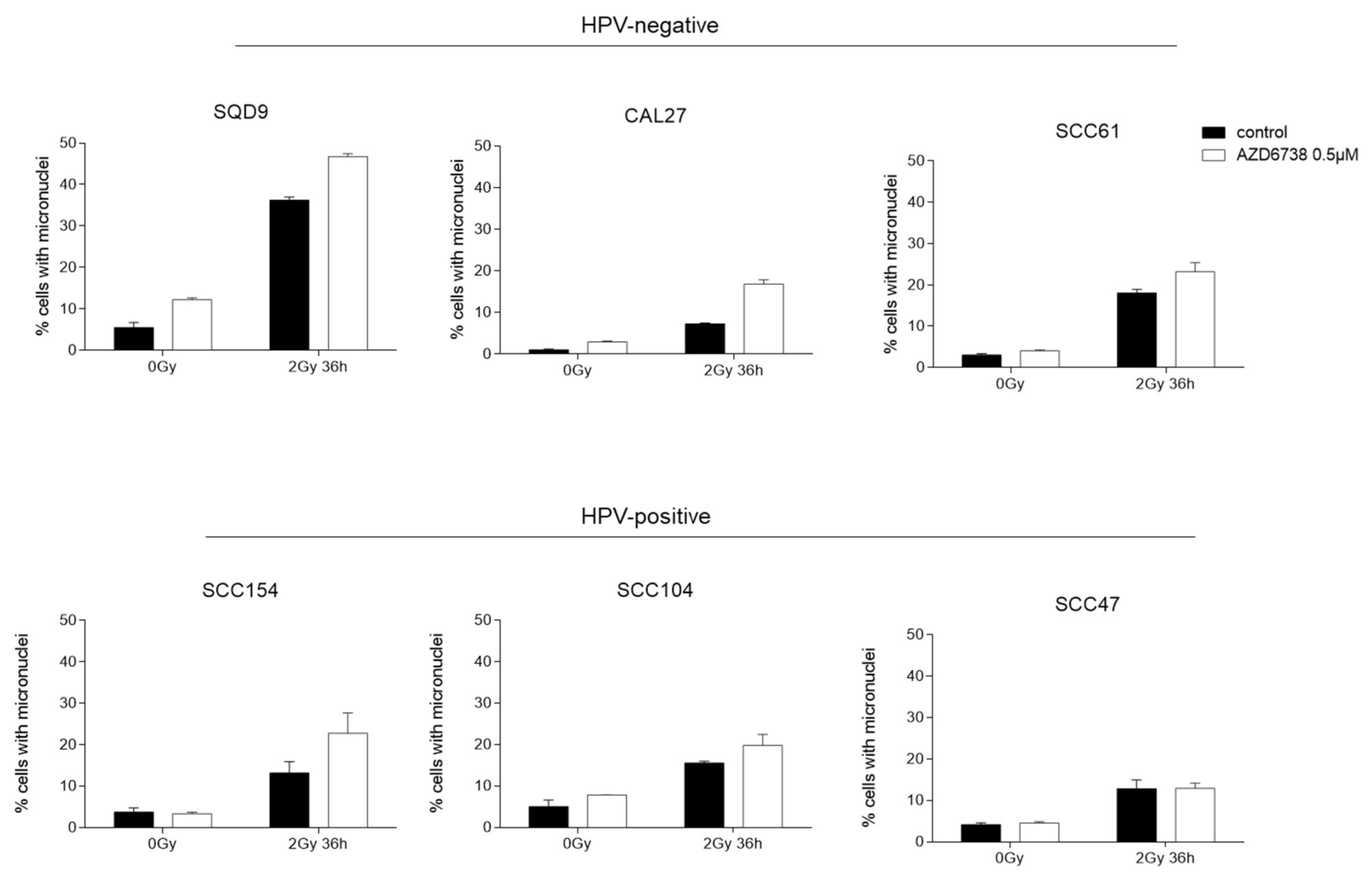 Ijms 22 01504 g006 Ijms 22 01504 g006