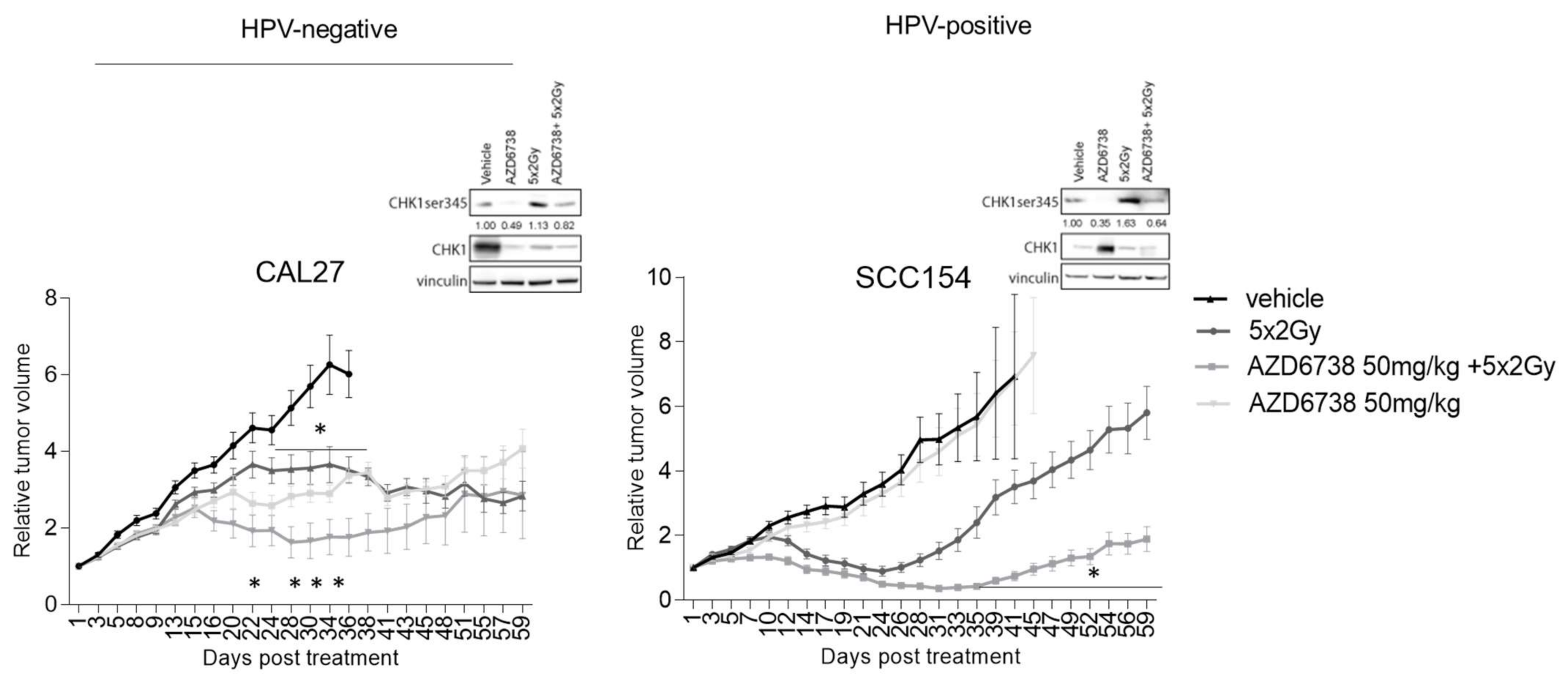 Ijms 22 01504 g007 Ijms 22 01504 g007