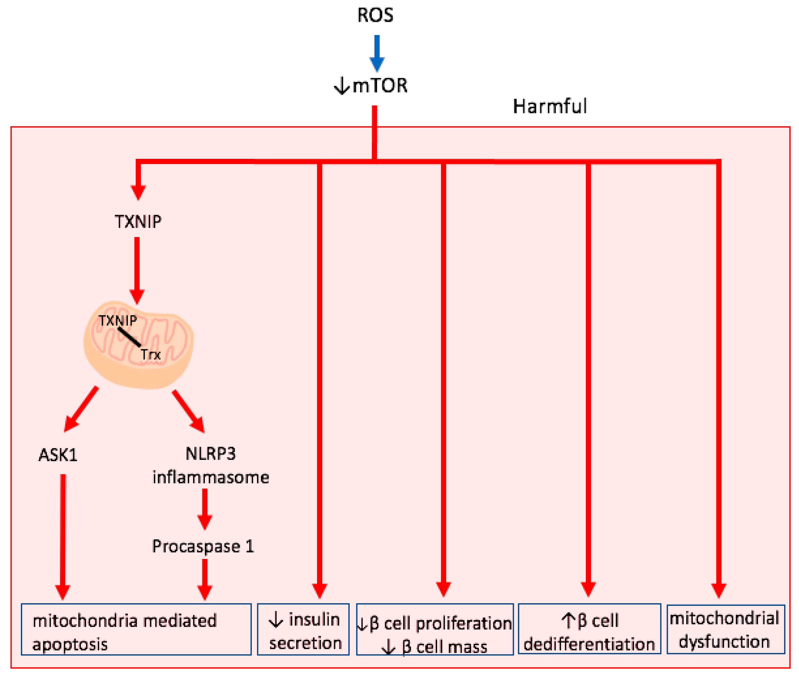 Ijms 22 01509 g002 Ijms 22 01509 g002