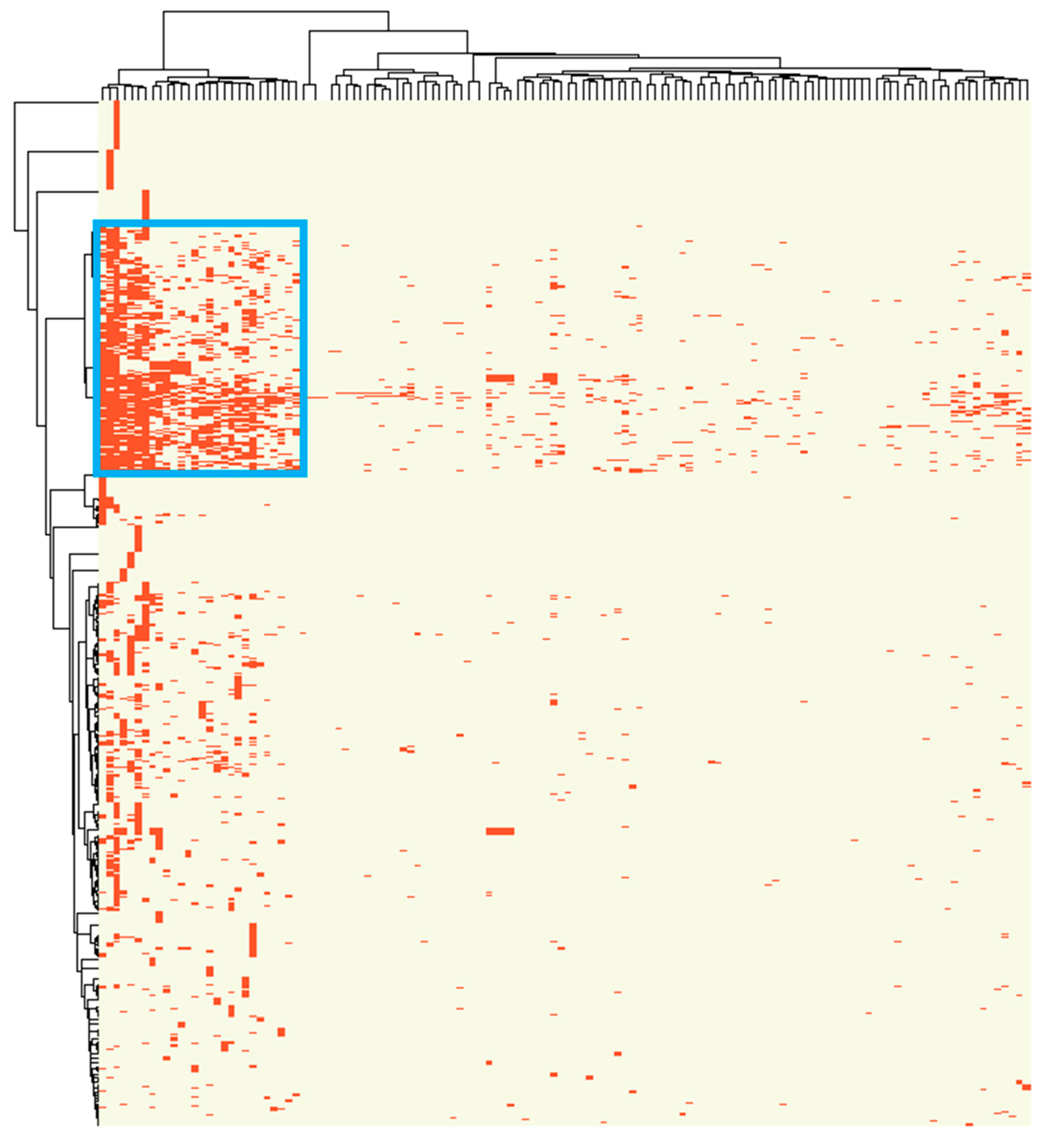 Ijms 22 01529 g002 Ijms 22 01529 g002