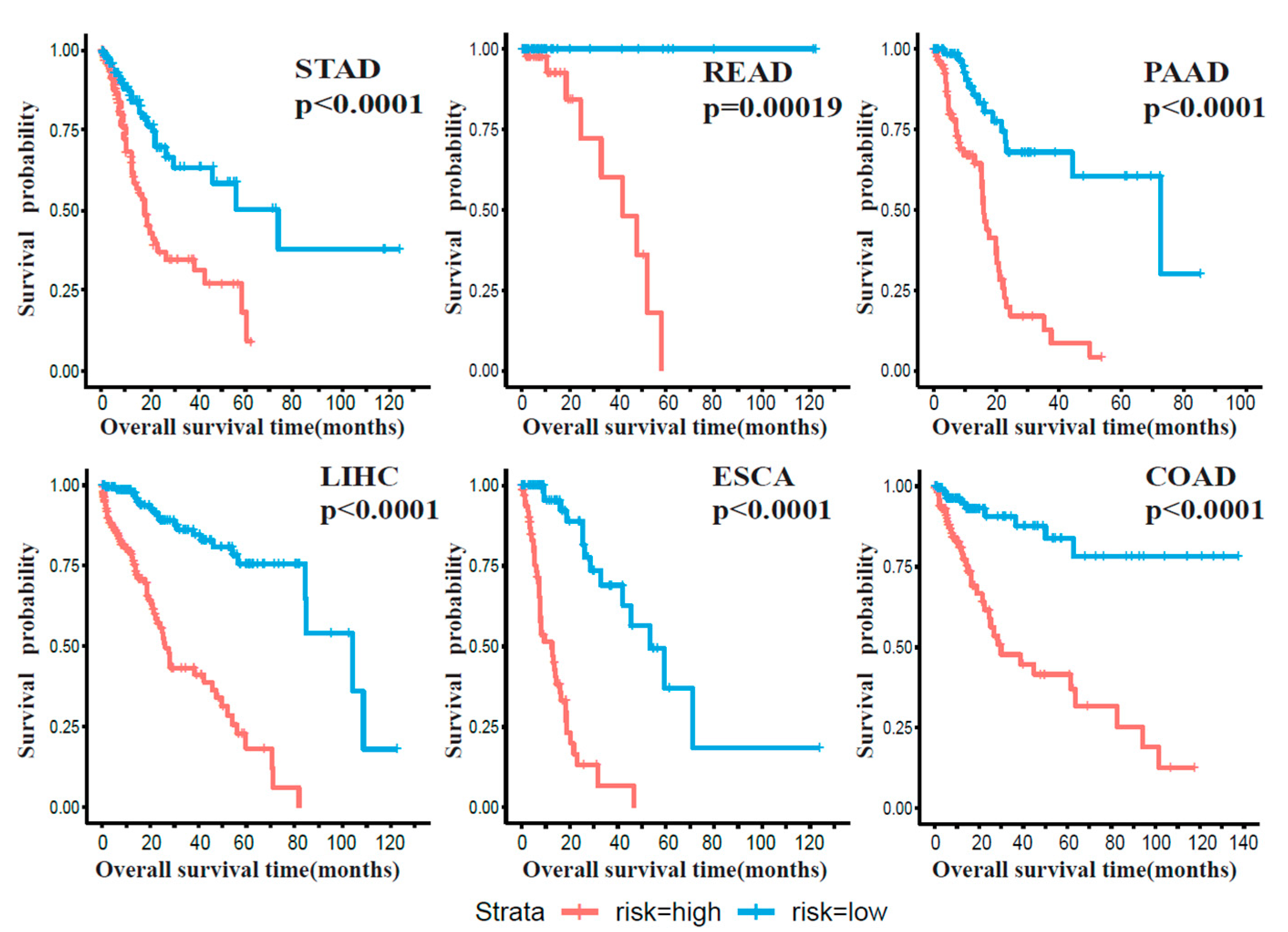 Ijms 22 01529 g003 Ijms 22 01529 g003