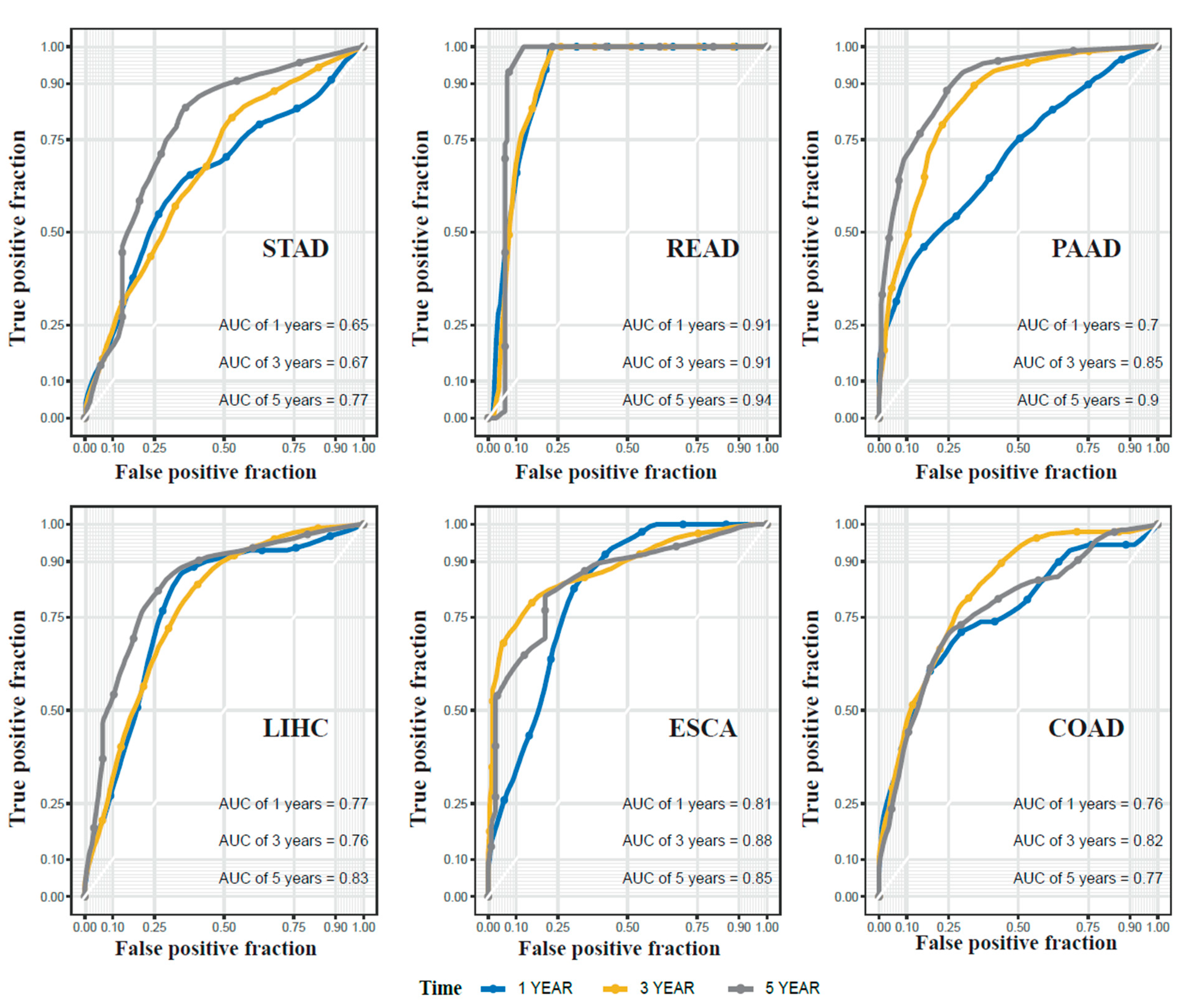 Ijms 22 01529 g005 Ijms 22 01529 g005